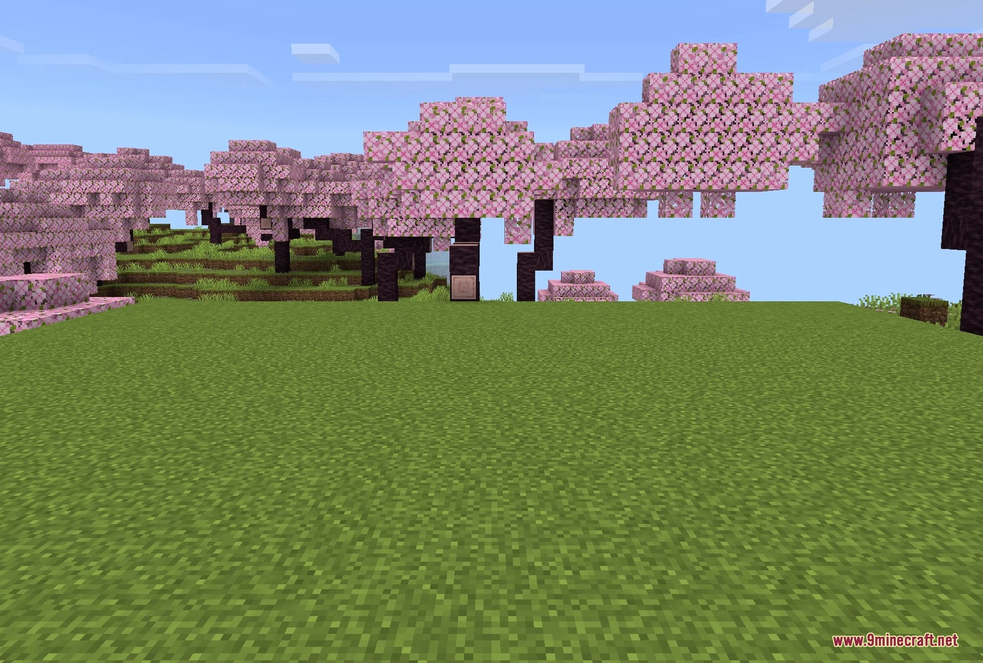 JellyJams Texture Pack (26.x, 1.21) – Adds Cute Custom Models To Vanilla Animals — screenshot 2