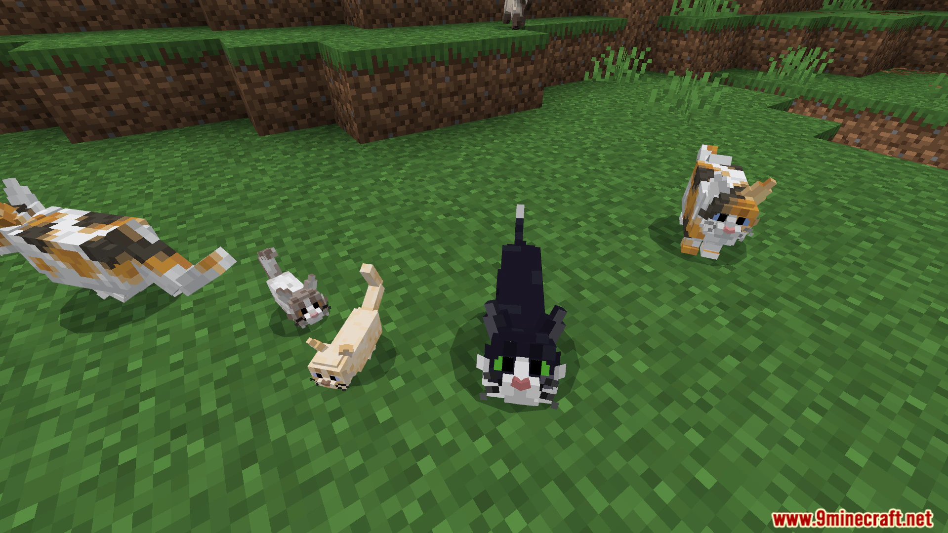 Better Cats Texture Pack (26.x) – Adds Over 130 Unique Feline Breeds And Variations — screenshot 3