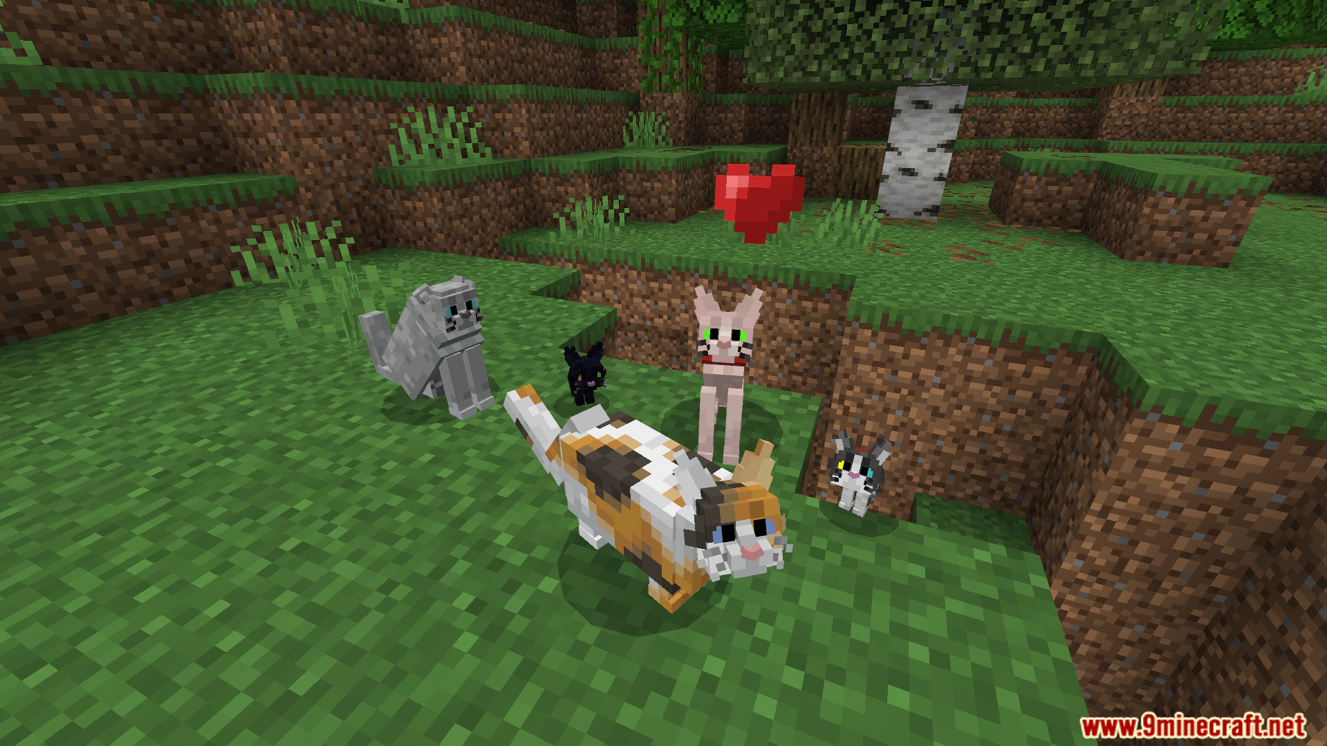 Better Cats Texture Pack (26.x) – Adds Over 130 Unique Feline Breeds And Variations — screenshot 5