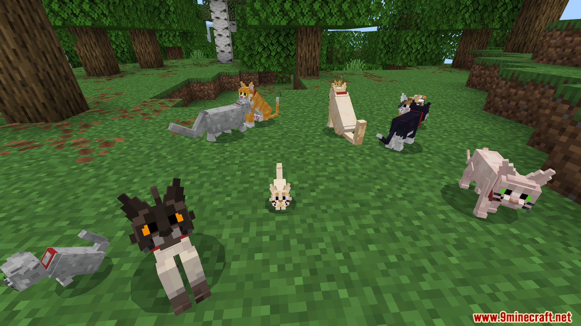 Better Cats Texture Pack (26.x) – Adds Over 130 Unique Feline Breeds And Variations — screenshot 6