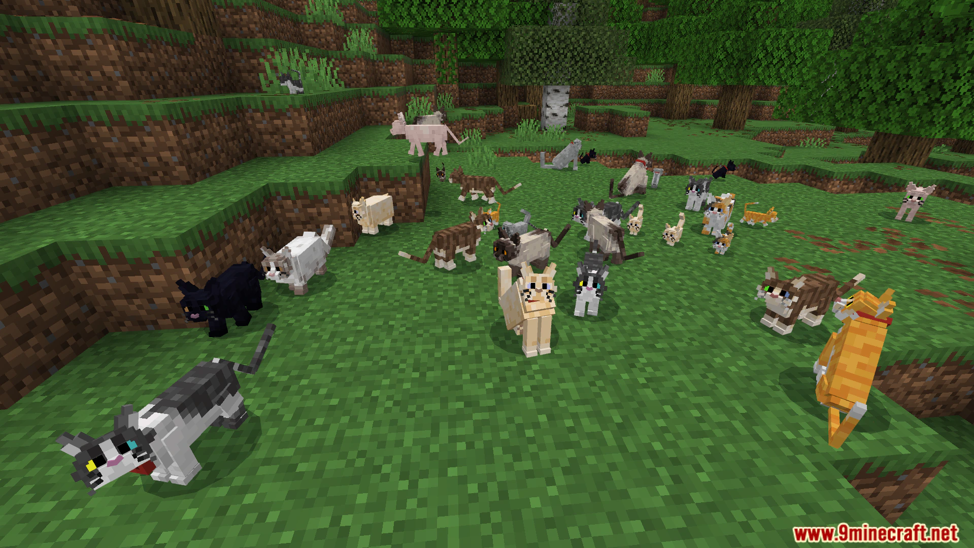 Better Cats Texture Pack (26.x) – Adds Over 130 Unique Feline Breeds And Variations — screenshot 7