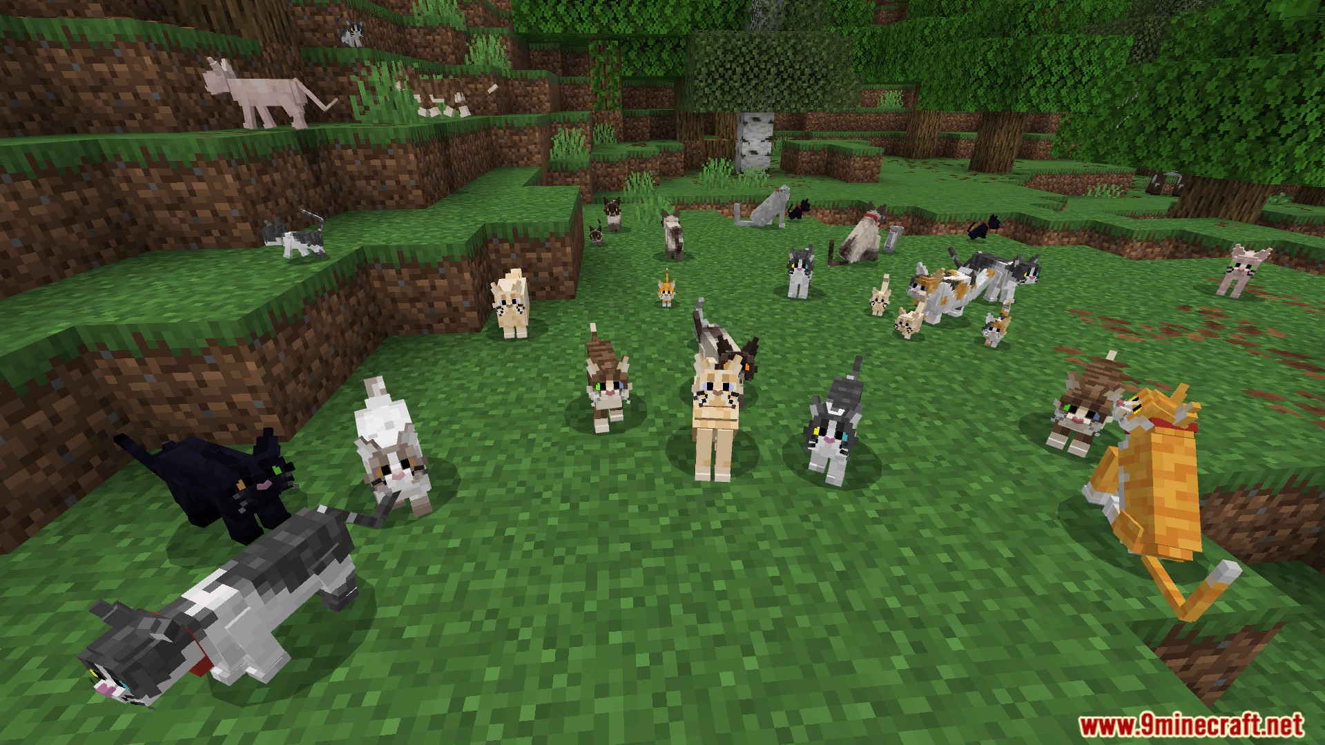 Better Cats Texture Pack (26.x) – Adds Over 130 Unique Feline Breeds And Variations — screenshot 8