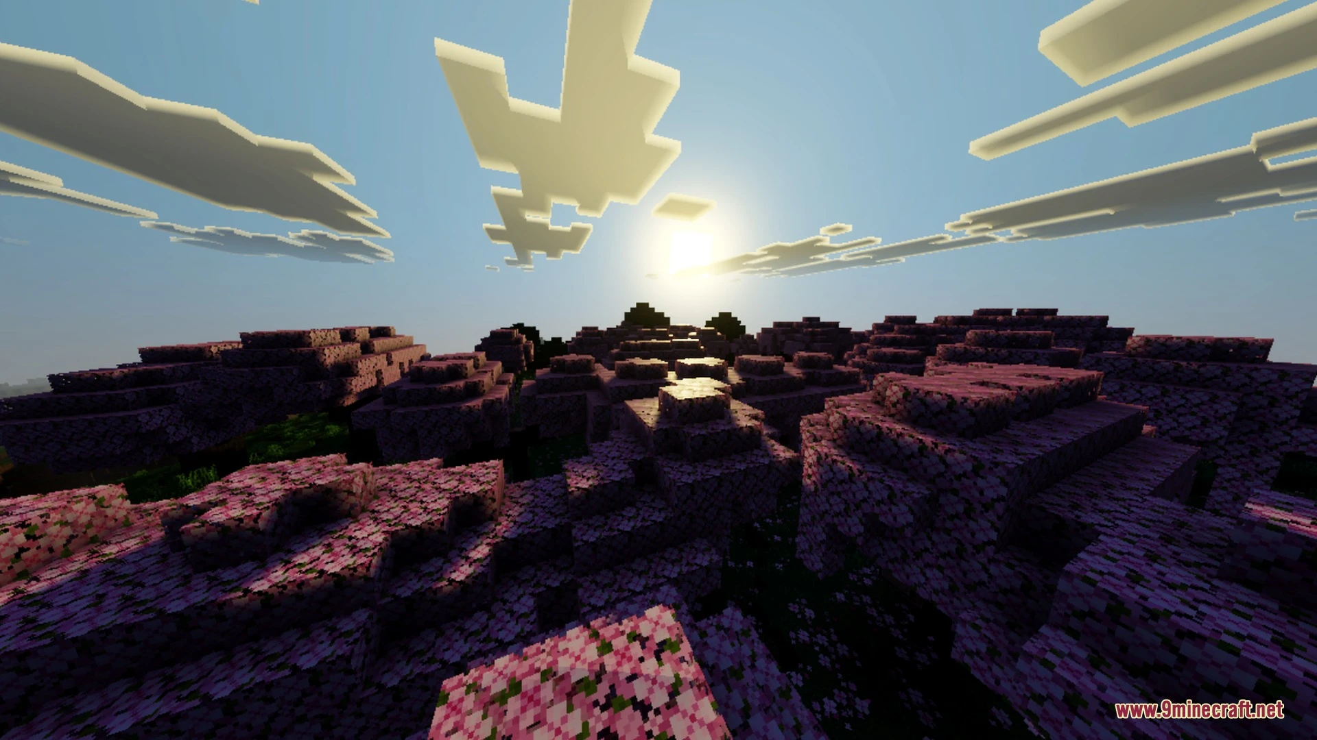 Anima Shader (26.X) – 3D Water Reflections And Vibrant Tone Mapping — screenshot 6