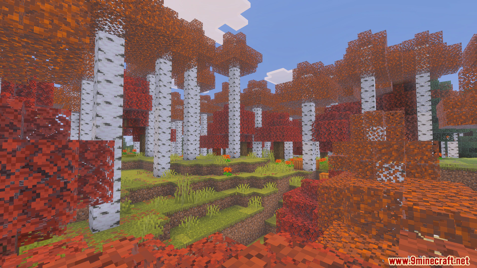 Wild Expansion Addon (26.x, 1.21) – Six Custom Biomes And Updated Vanilla Landscapes — screenshot 7