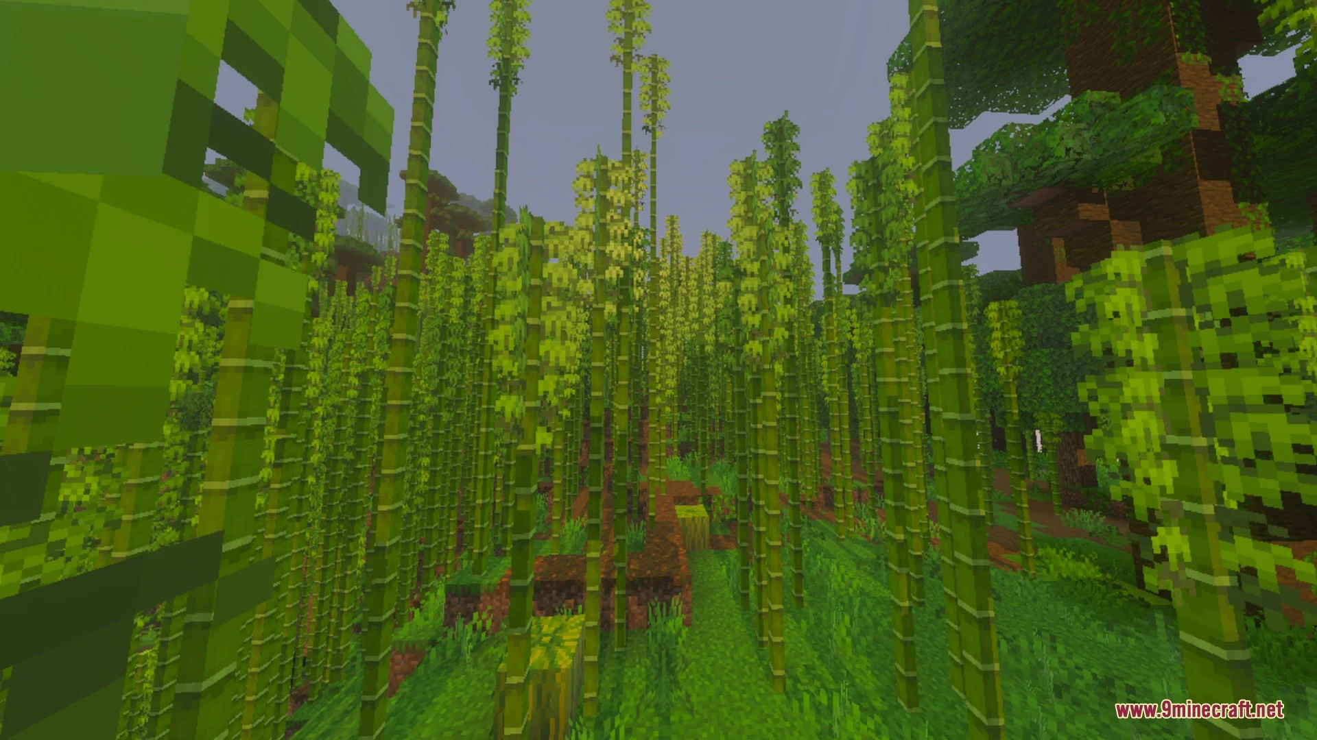 Newb Complementary Shader (26.x) – Java Realistic Graphics Experience — screenshot 4