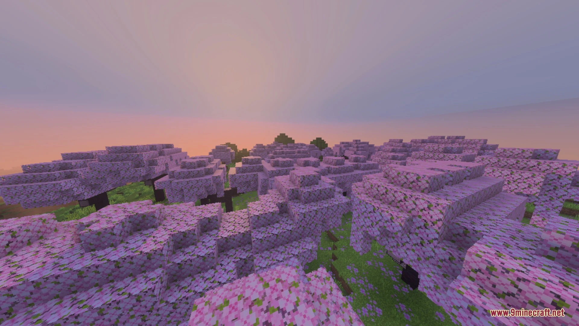 Newb Complementary Shader (26.x) – Java Realistic Graphics Experience — screenshot 6