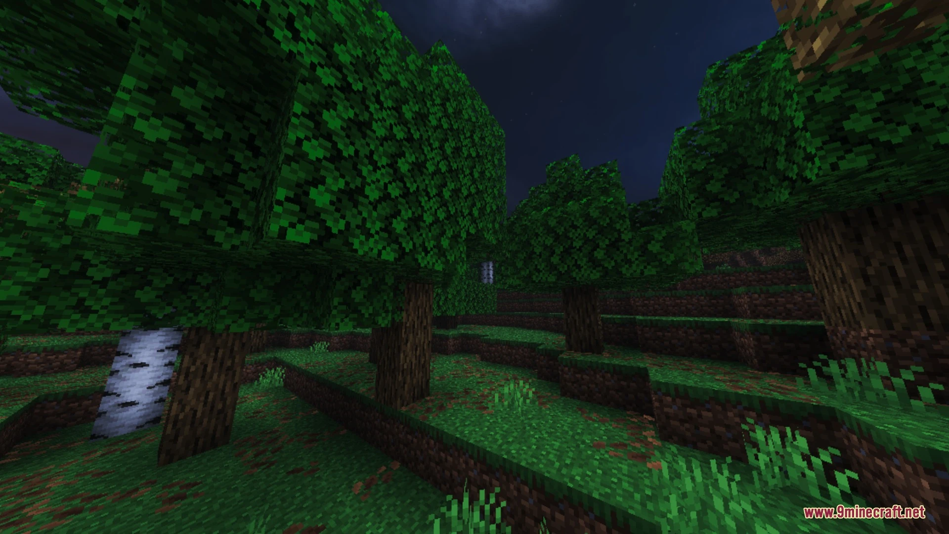Revolution Vibrant Visuals Static Light Shader (26.x) – MCPE/Bedrock — screenshot 5