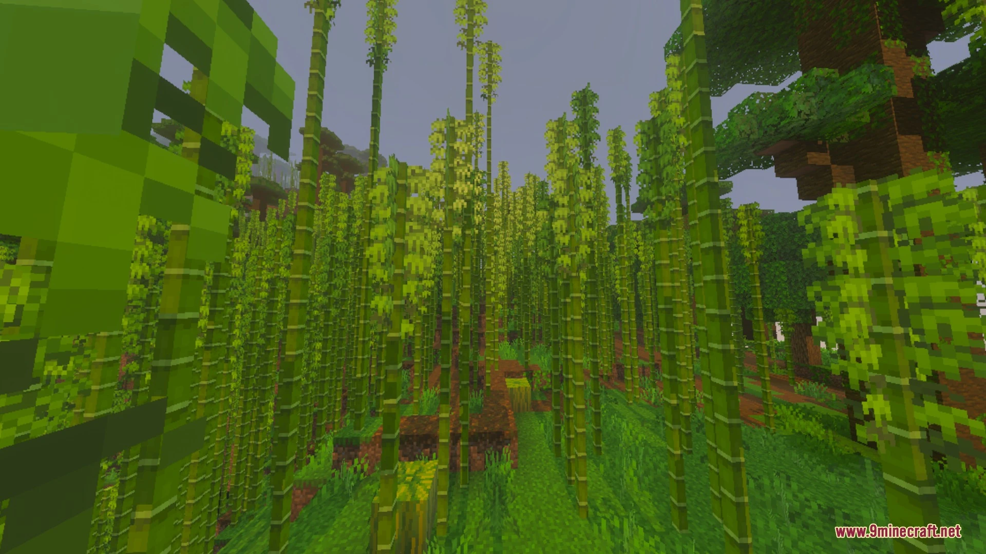 Toggle Night Vision Shader (26.x, 1.21) – Customizable Brightness Menu — screenshot 5