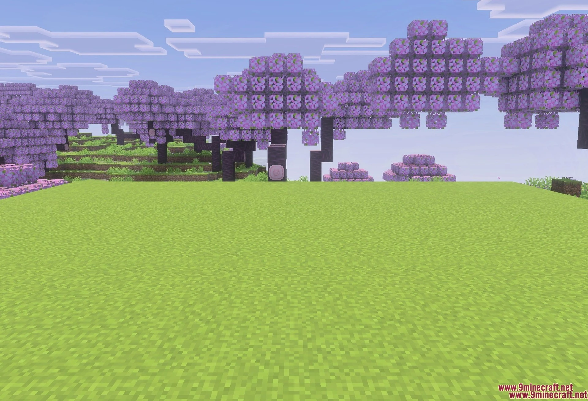 Trees Plus+ Better Texture Pack (1.21, 1.20) – Realistic Bushy Foliage — screenshot 2