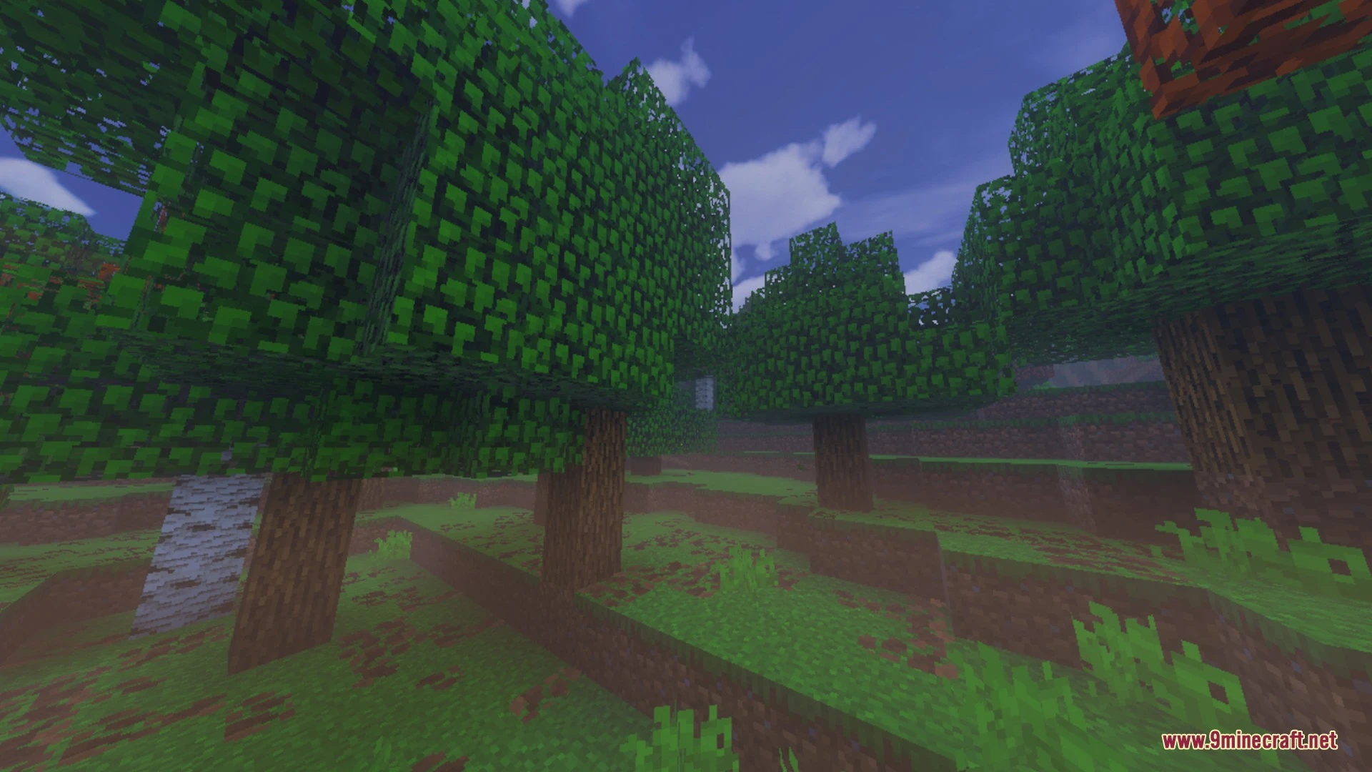 RG Shader V2.1 Renderdragon Support MCPE/Bedrock Shader (26.x, 1.21) — screenshot 8