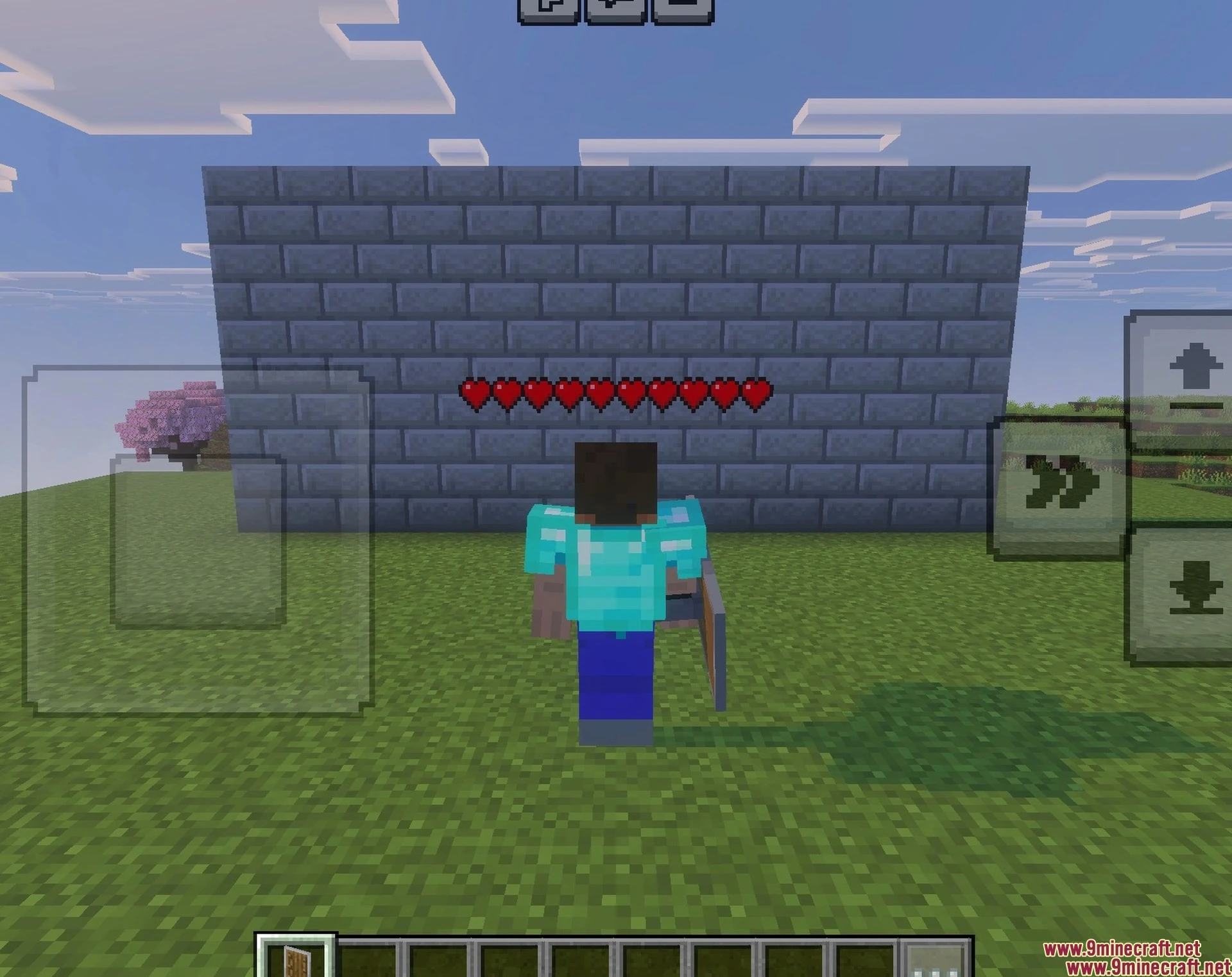 Player Health Indicator Texture Pack (26.x) – Visible Real-time Hearts — screenshot 1