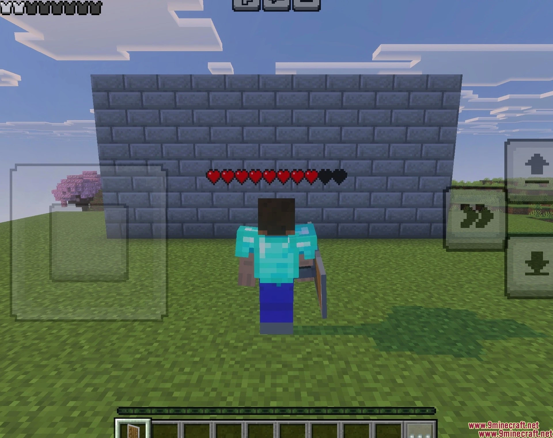 Player Health Indicator Texture Pack (26.x) – Visible Real-time Hearts — screenshot 2
