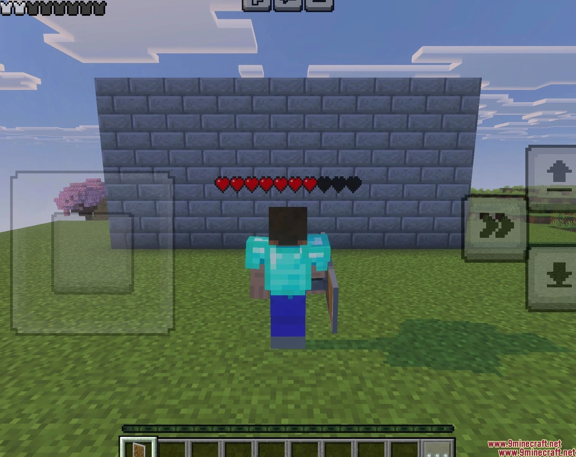 Player Health Indicator Texture Pack (26.x) – Visible Real-time Hearts — screenshot 3