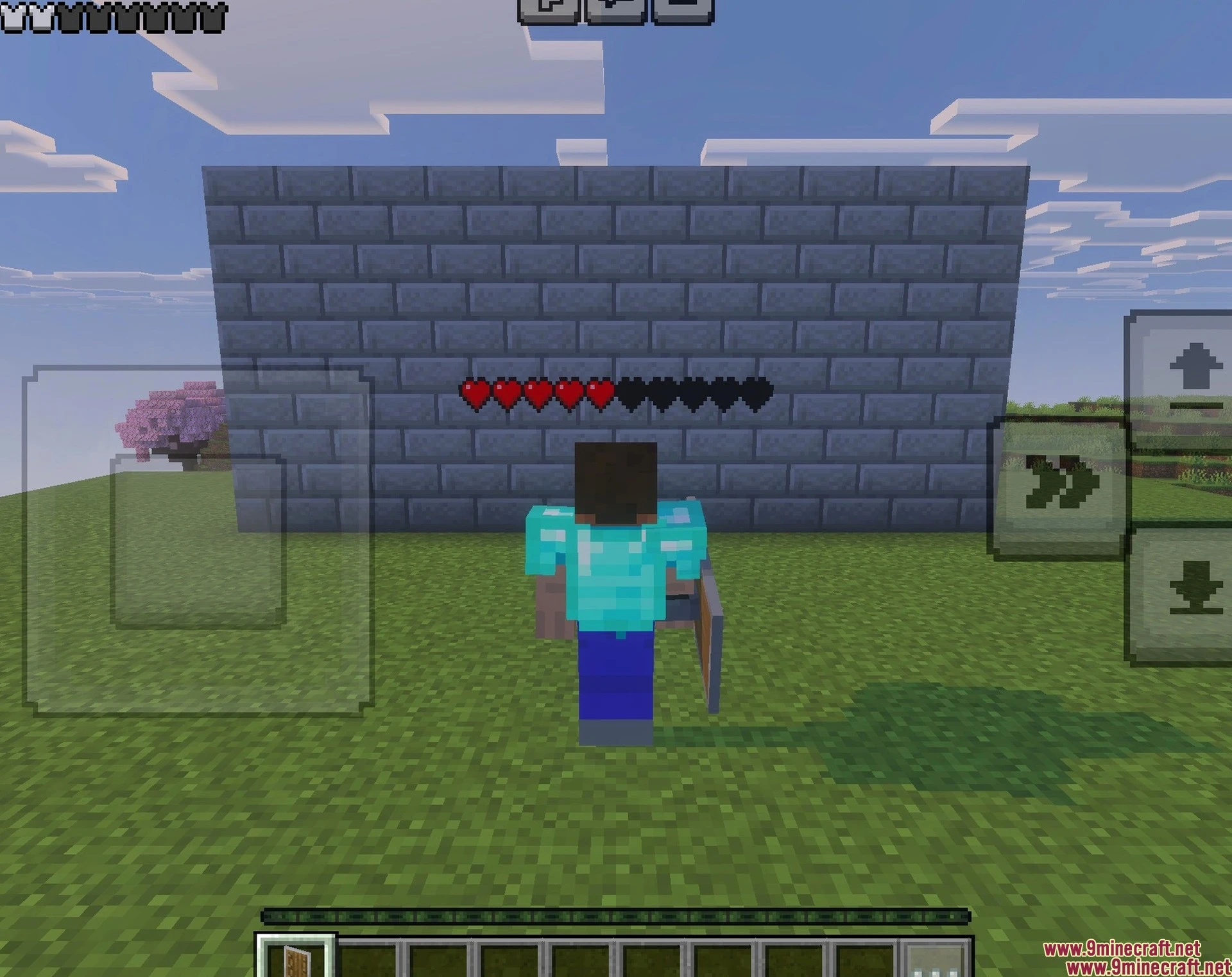 Player Health Indicator Texture Pack (26.x) – Visible Real-time Hearts — screenshot 4