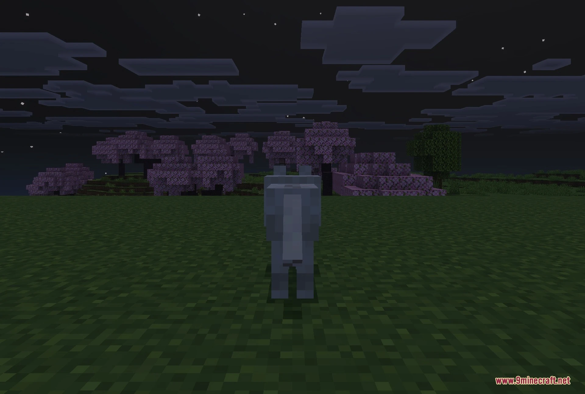 Immortal Dogs Addon (26.x) – Make Your Tamed Wolves Invincible to All Damage — screenshot 5