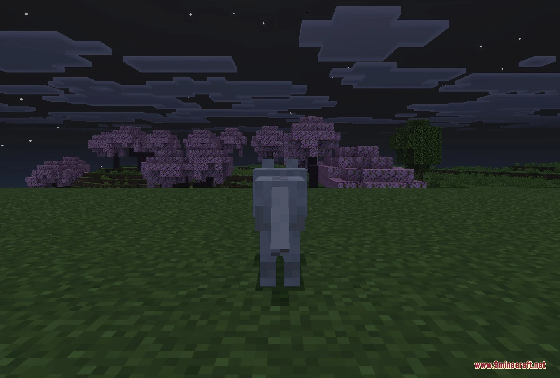 Immortal Dogs Addon (26.x) – Make Your Tamed Wolves Invincible to All Damage — screenshot 6