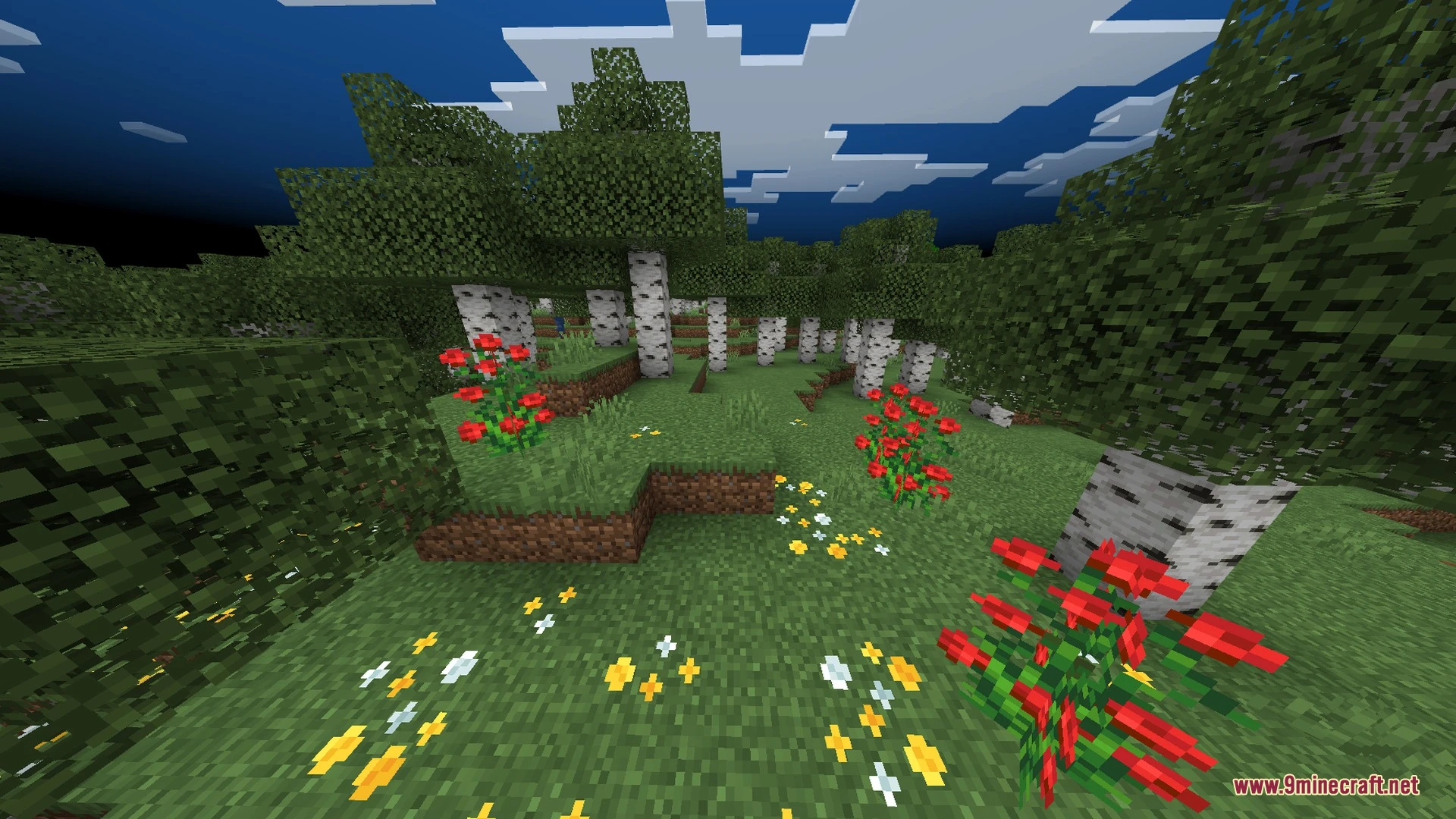 Skylix Visuals Shader (26.x) – Warm Sunlight and Crystal Clear Teal Water — screenshot 2