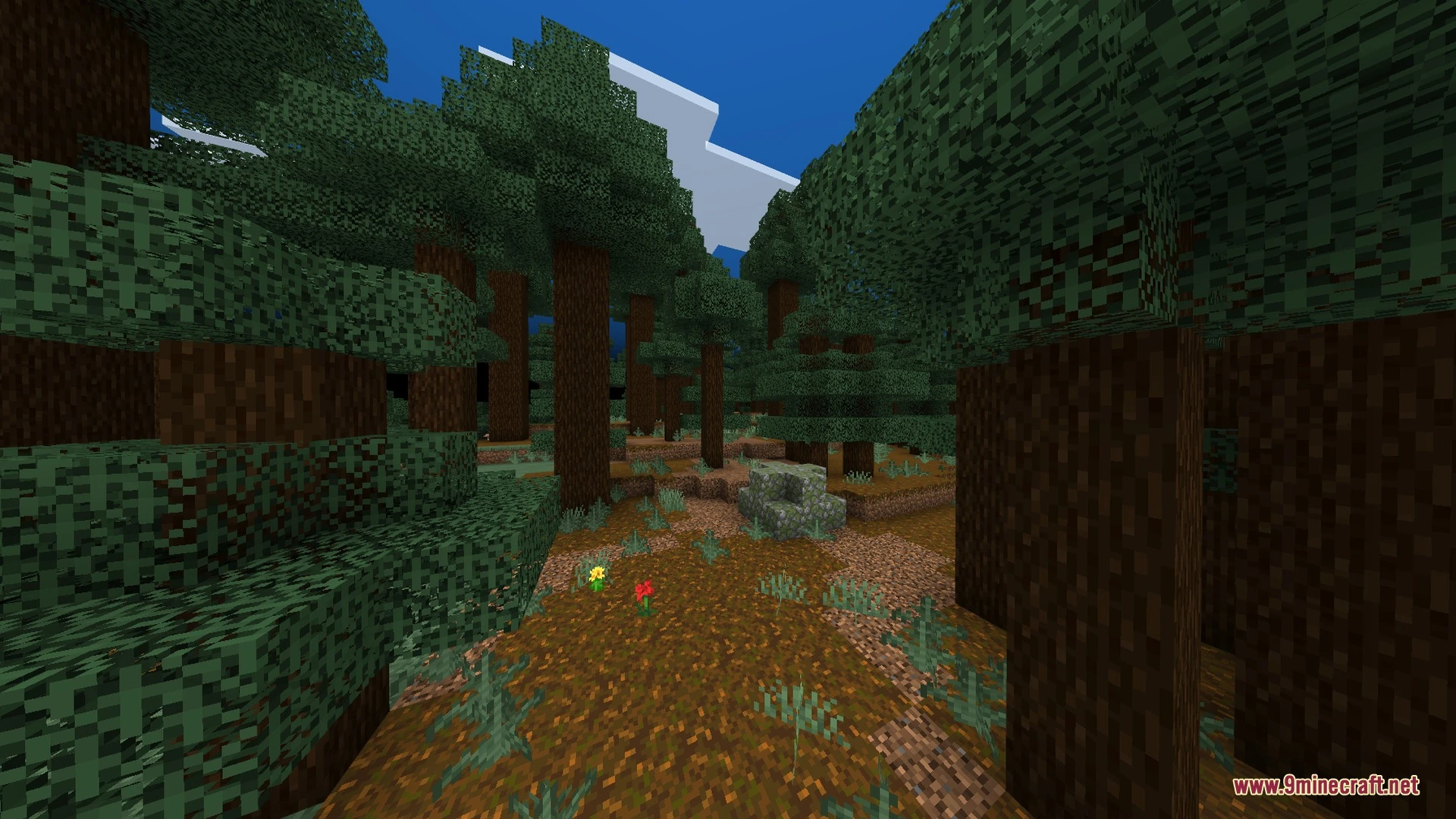 Skylix Visuals Shader (26.x) – Warm Sunlight and Crystal Clear Teal Water — screenshot 6