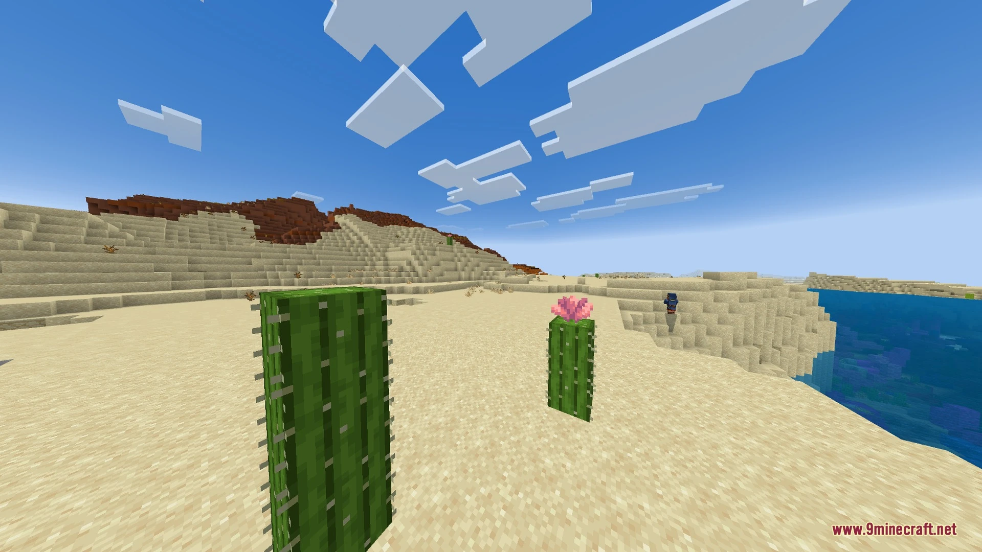 Vibrant Rtx Visuals Shader (26.x) – Saturated Colors and Smooth Shadows — screenshot 2