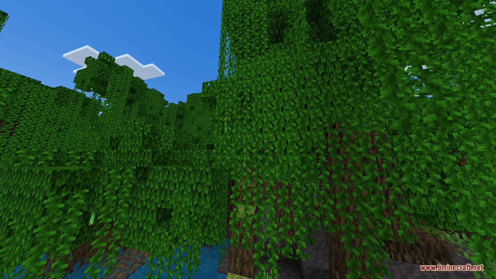 Vibrant Rtx Visuals Shader (26.x) – Saturated Colors and Smooth Shadows — screenshot 5
