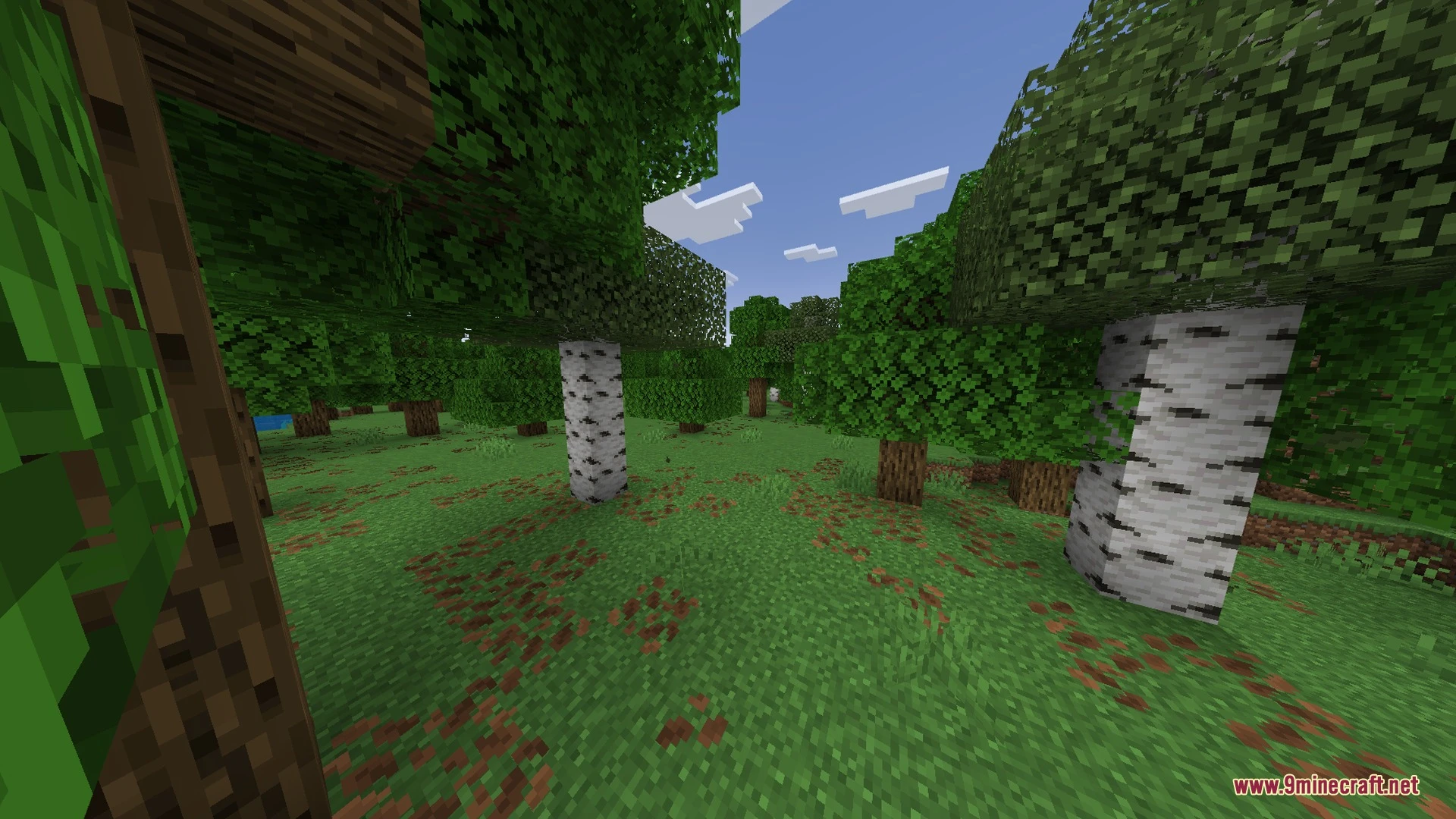 Breeze Visuals Shader (26.x) – Soft Pastel Skies and Clean Water on Bedrock — screenshot 2