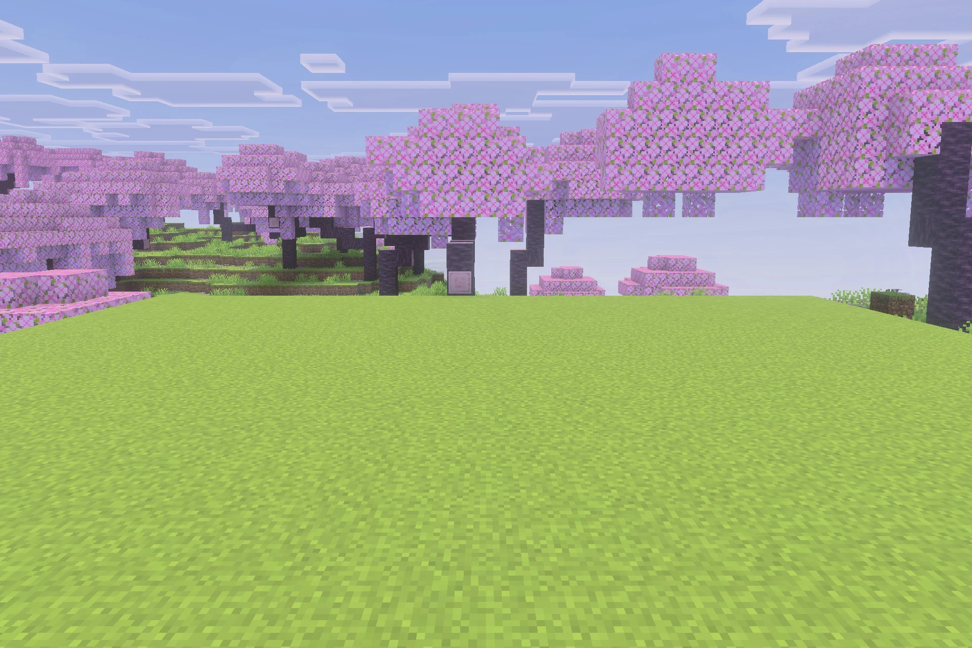 Hold My Items Bedrock Texture Pack (1.21) – Better Held Item Positions and Views — screenshot 2