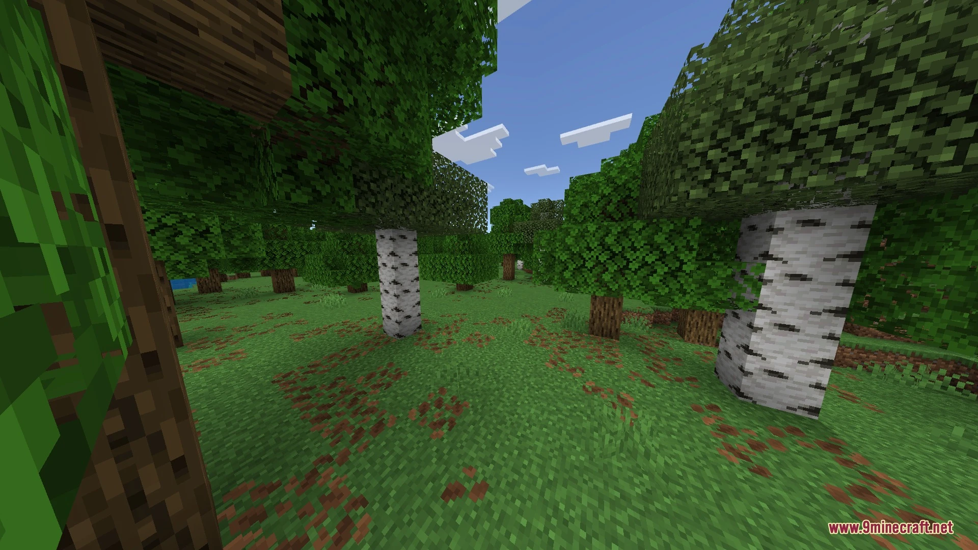 Ultra X-Ray + Night Vision Shader (26.x, 1.21) – Glowing Ores and Underground — screenshot 1