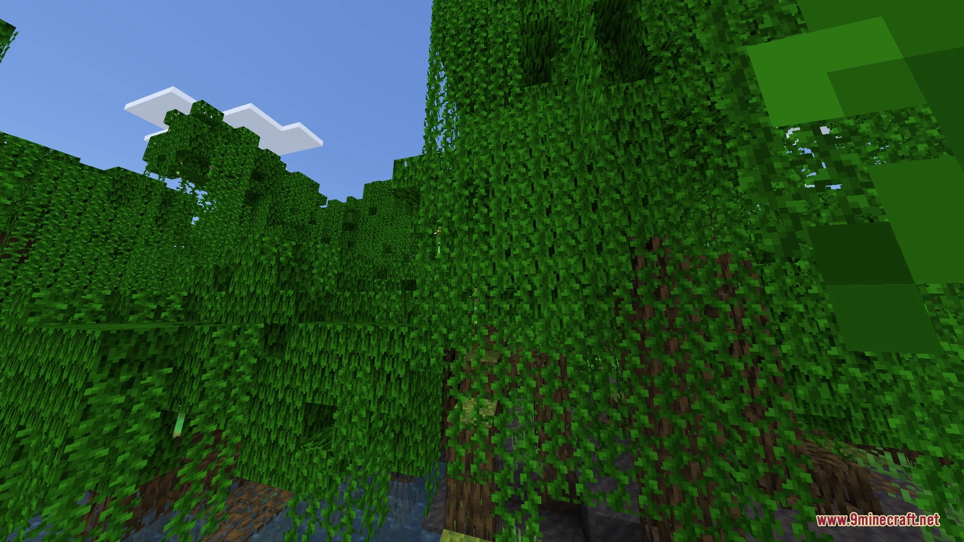 AuraFX Visuals Shader (26.x, 1.21) – Volumetric Sun Rays and Clean Water — screenshot 5
