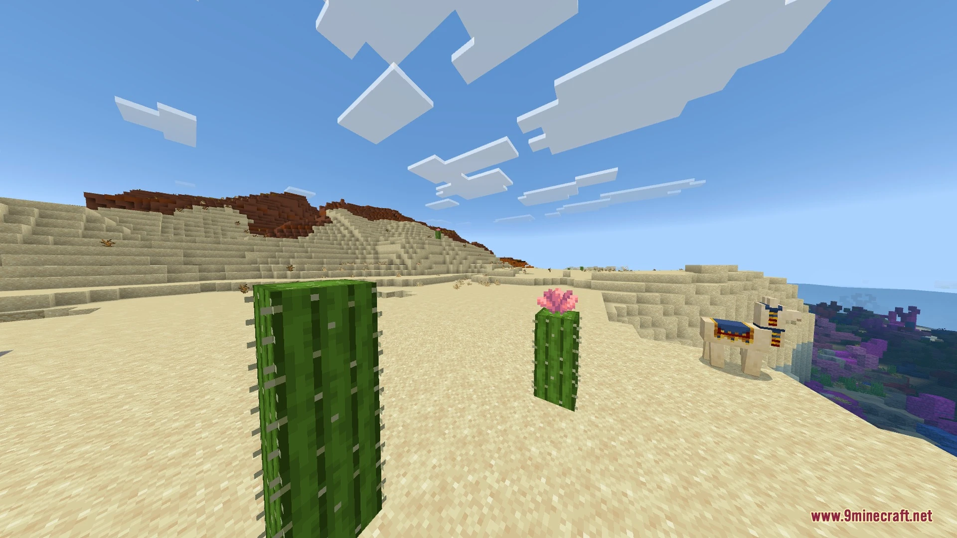Ethereal Mystic Reworked Shader (26.x, 1.21) – Custom Aurora Skies and Warm Glow — screenshot 3