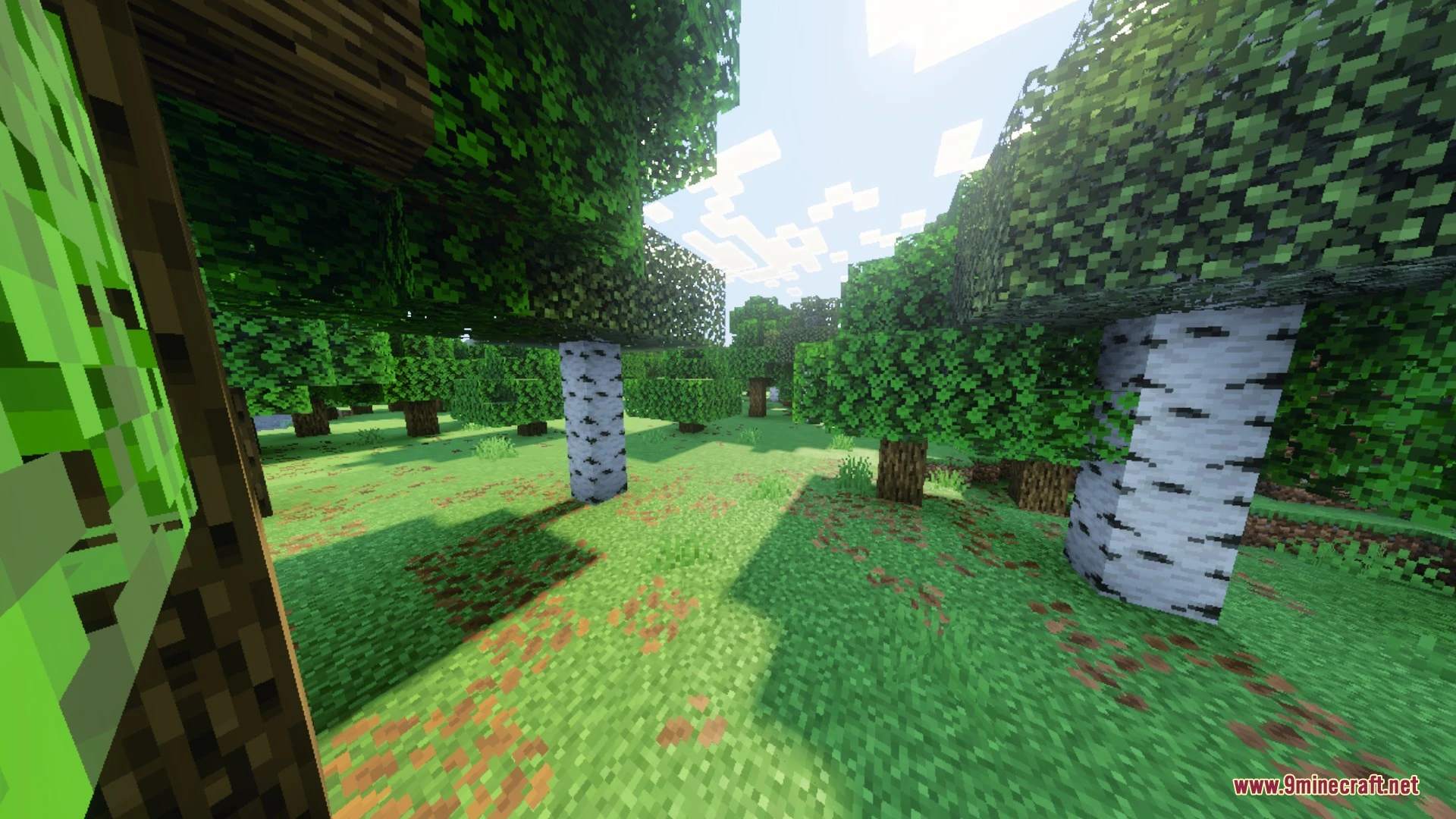Arcane Deferred Shader (26.x, 1.21) – Rich Shadows and Fantasy Lighting — screenshot 3