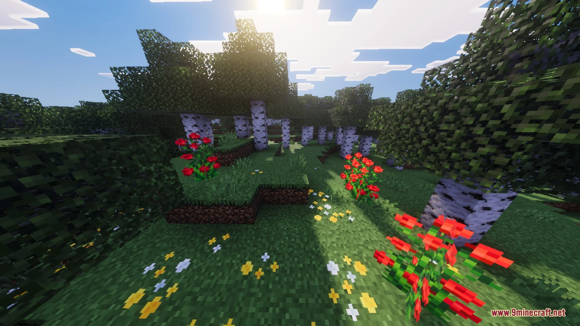 Solace Lite Shader (26.x) – Realistic Water Caustics and 16x Normal Maps — screenshot 5