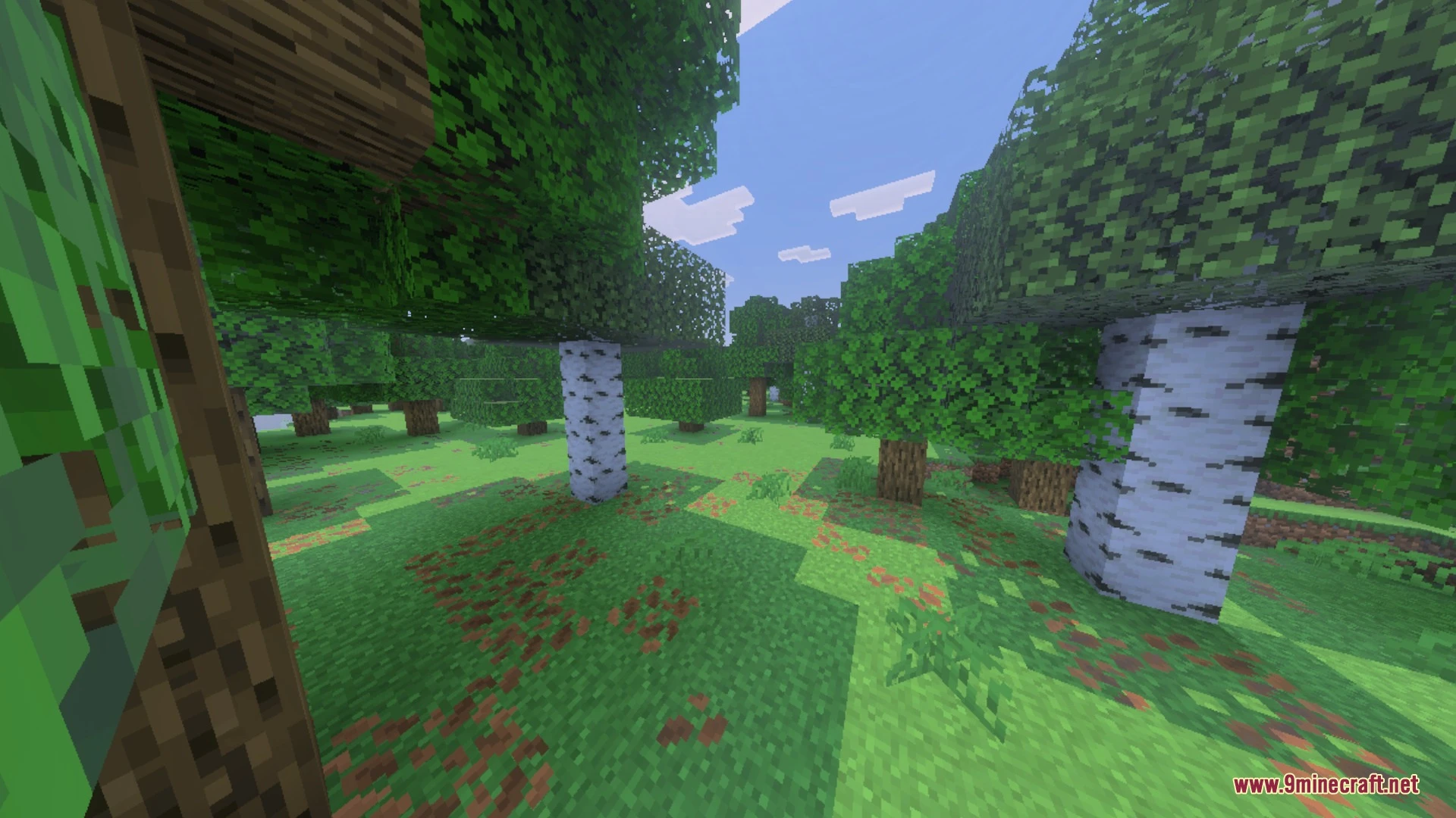Better Animated Nature Shader (26.x, 1.21) – Swaying Leaves and Flowing Water — screenshot 1