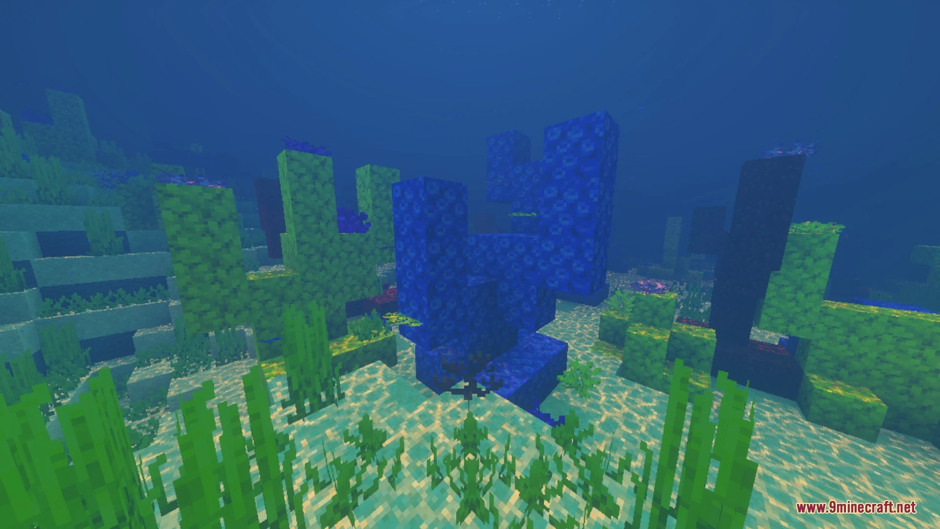Better Animated Nature Shader (26.x, 1.21) – Swaying Leaves and Flowing Water — screenshot 2