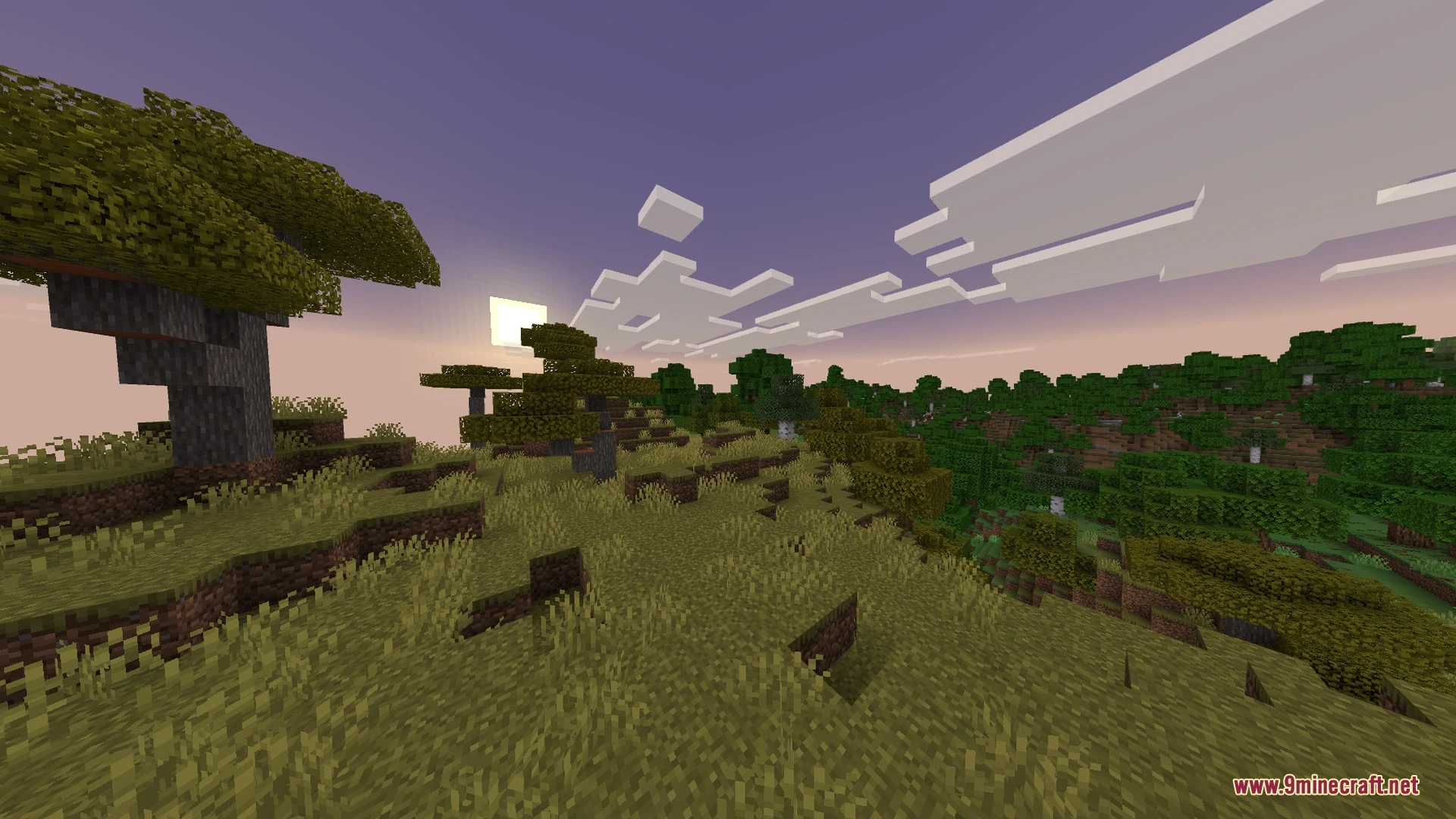 Flamingo Visuals Shader (26.x) – Custom Biome Lighting and PBR Textures — screenshot 5