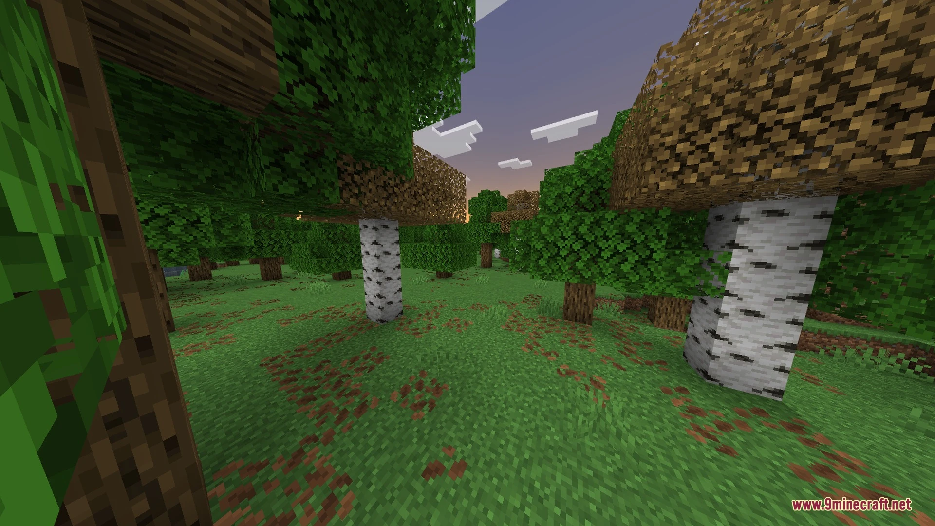 Solscape Shaders (26.x, 1.21) – ACES Color Grading with Glowing PBR Ores — screenshot 2
