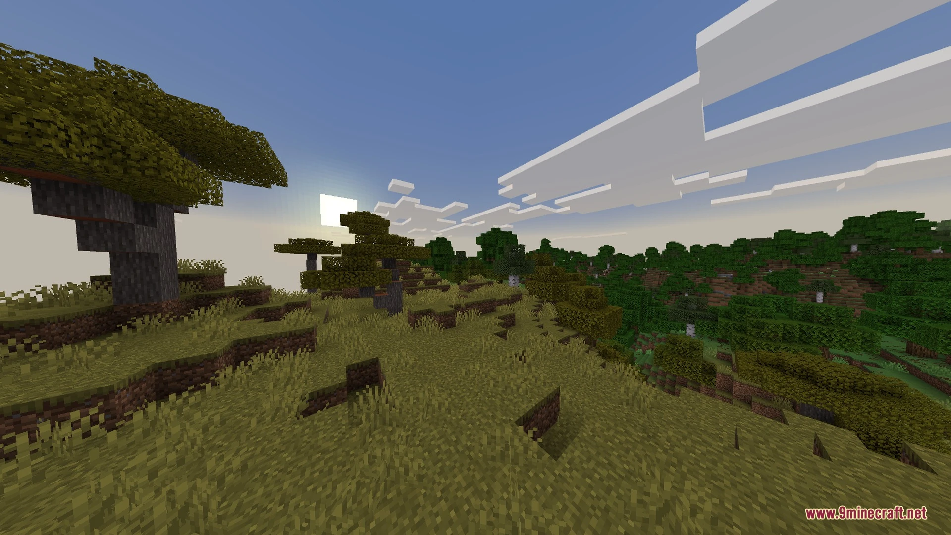 Yildirim RD Shaders (26.x) – Clear Water Reflections and Realistic Skies — screenshot 5