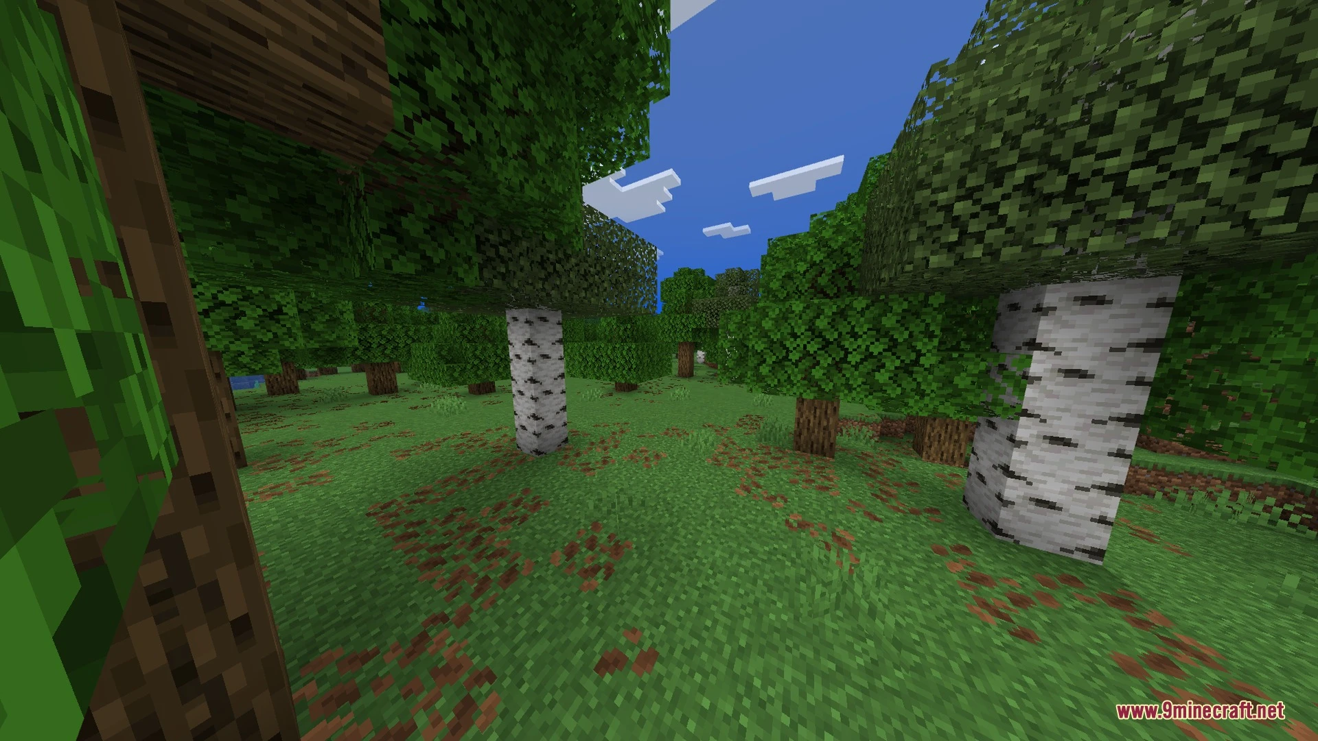 Nova Visuals Shader (26.x, 1.21) – Realistic Sun and Clear Water on Any Mobile — screenshot 2
