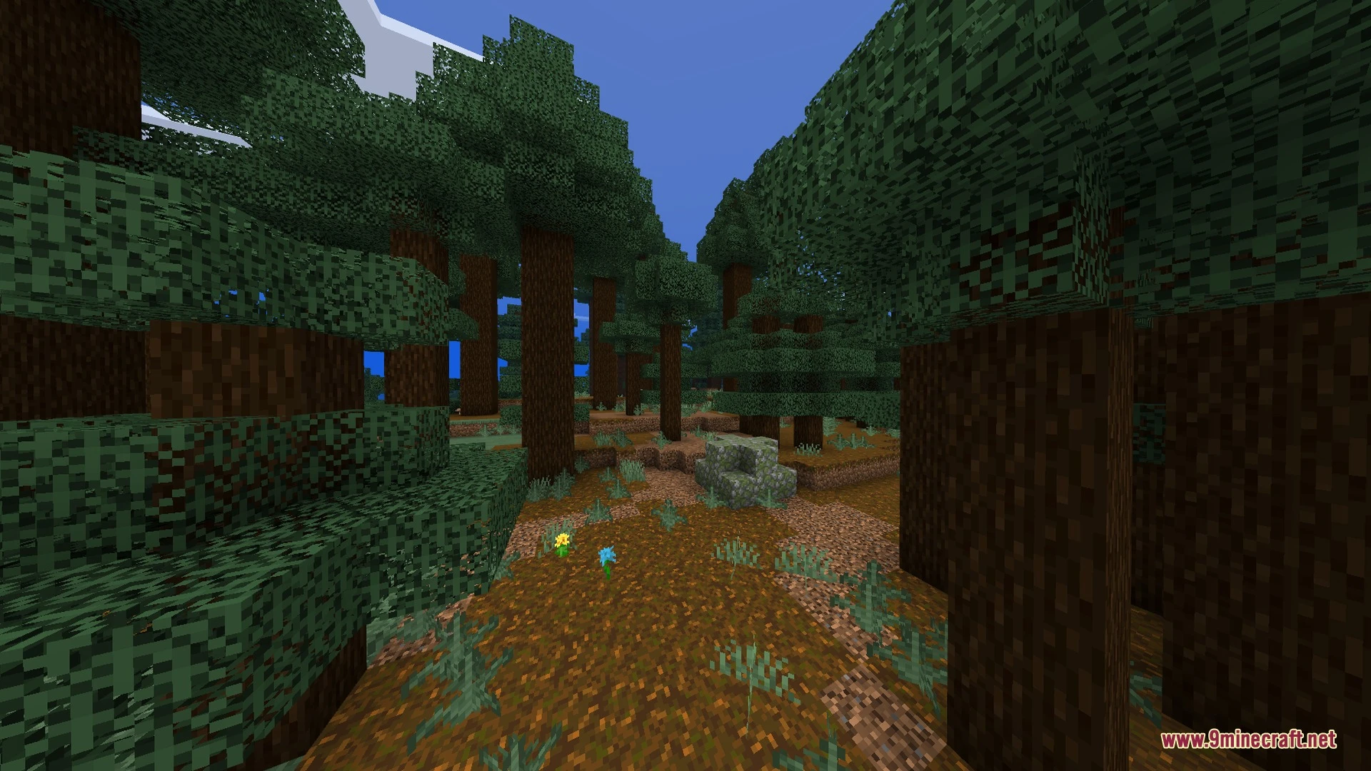 Nova Visuals Shader (26.x, 1.21) – Realistic Sun and Clear Water on Any Mobile — screenshot 6
