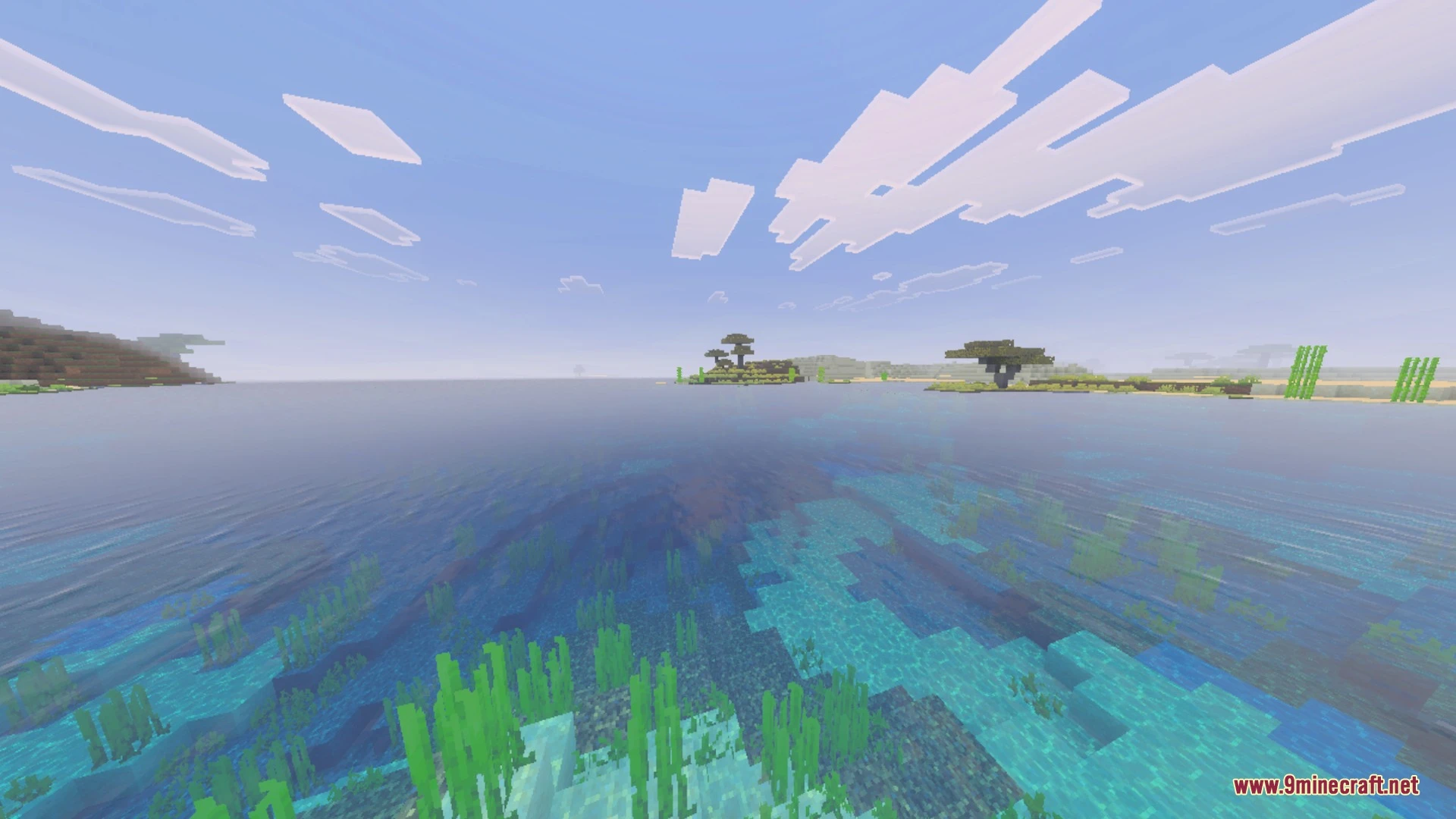 Better Falling Leaves Vanilla Shader (26.x, 1.21) – Leaves Settling on Ground — screenshot 1