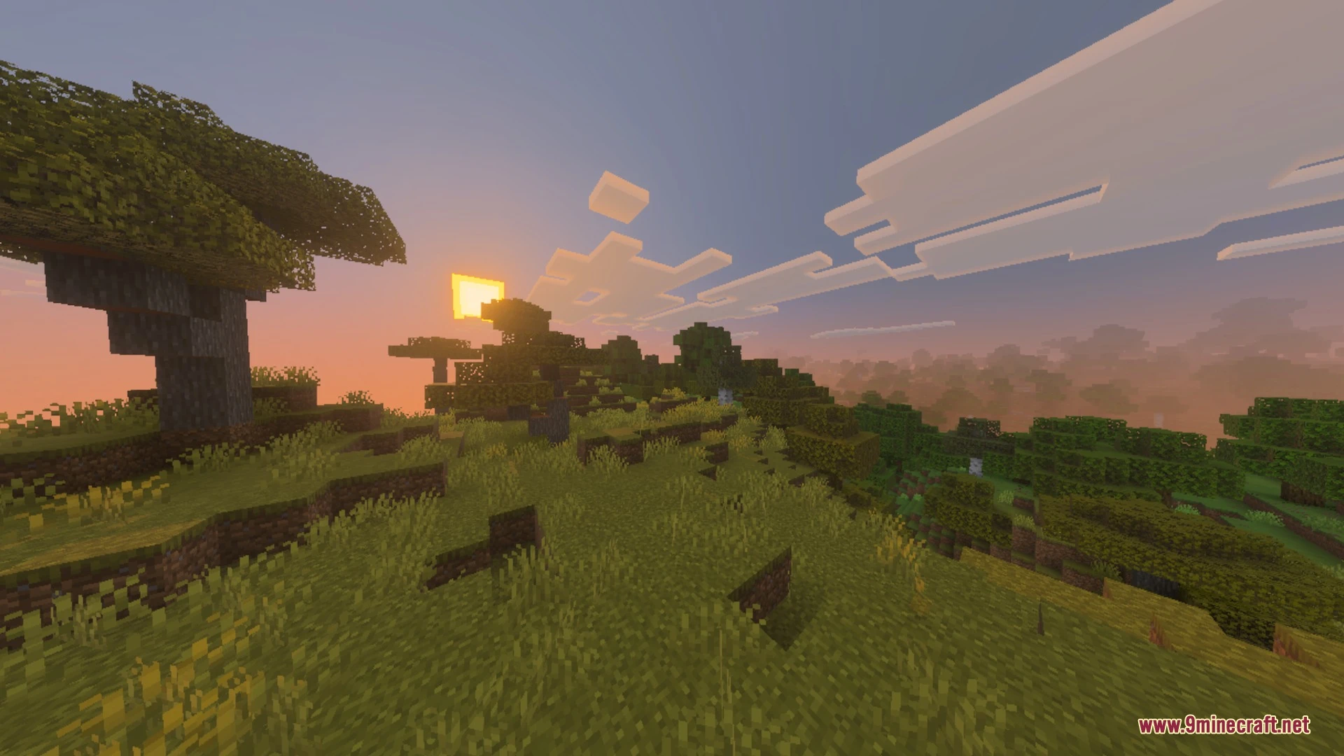 Better Falling Leaves Vanilla Shader (26.x, 1.21) – Leaves Settling on Ground — screenshot 4
