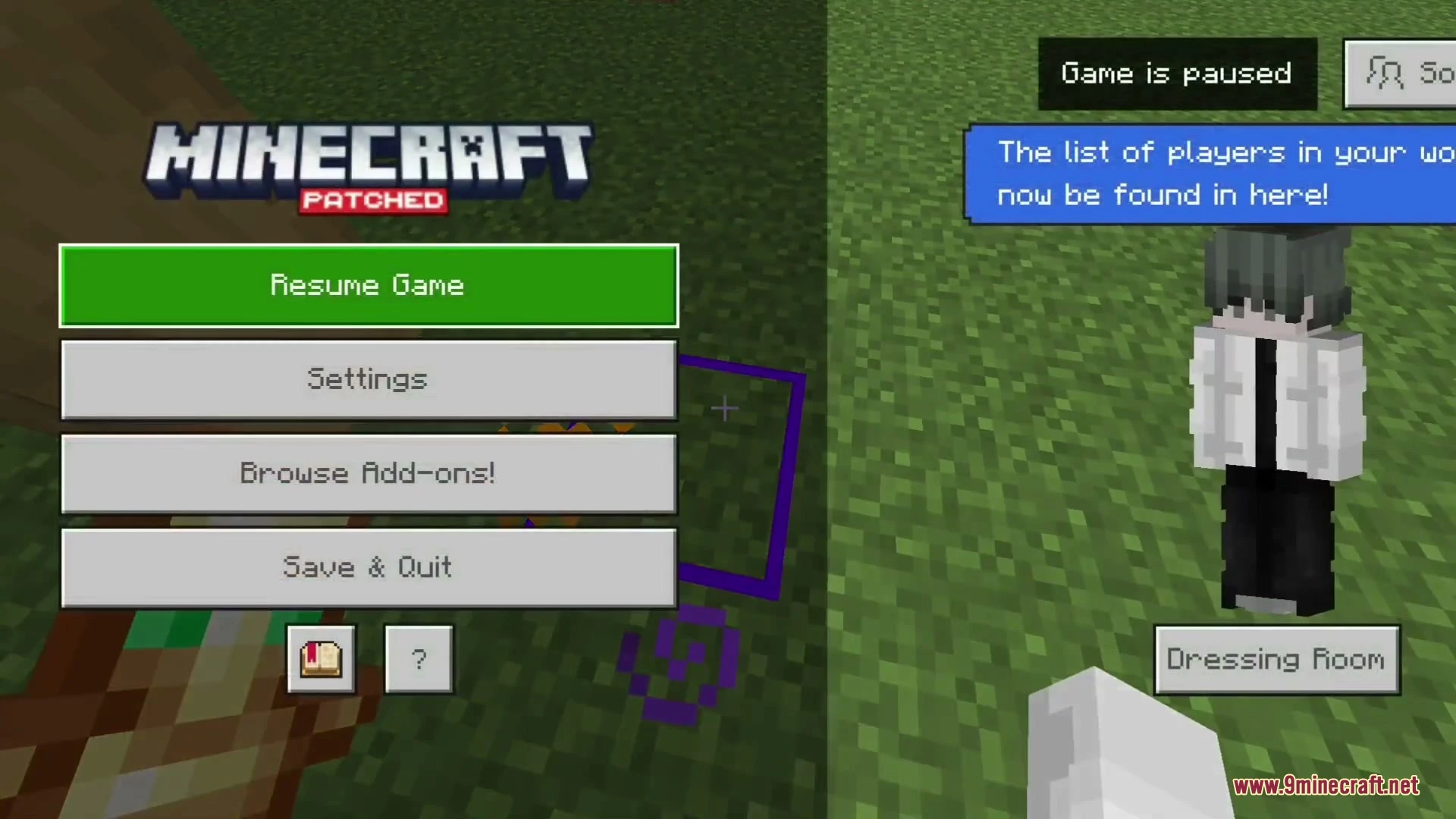 Bosya's Selection Box Plus+ Addon (26.x, 1.21) – Accurate Block Selection — screenshot 4