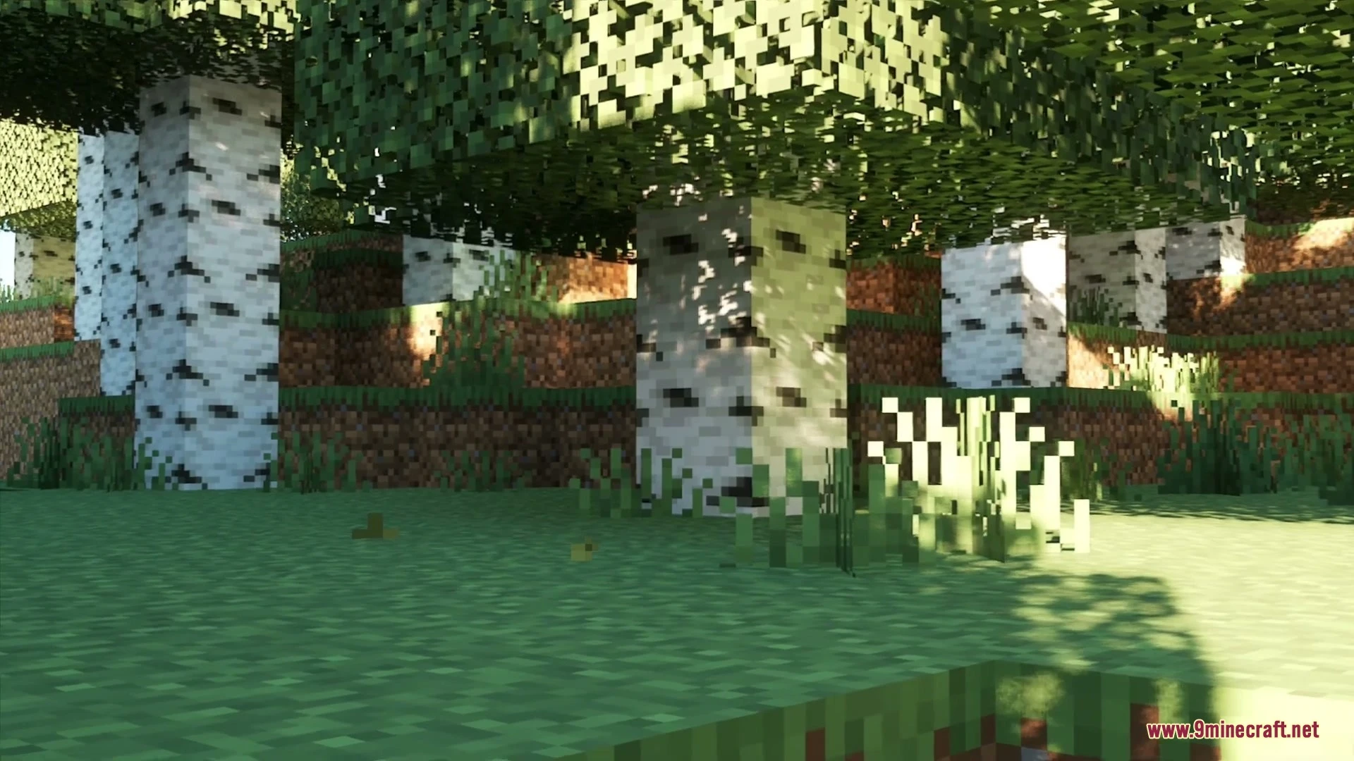 Fused's Falling Leaves Addon (1.21, 1.20) — screenshot 3