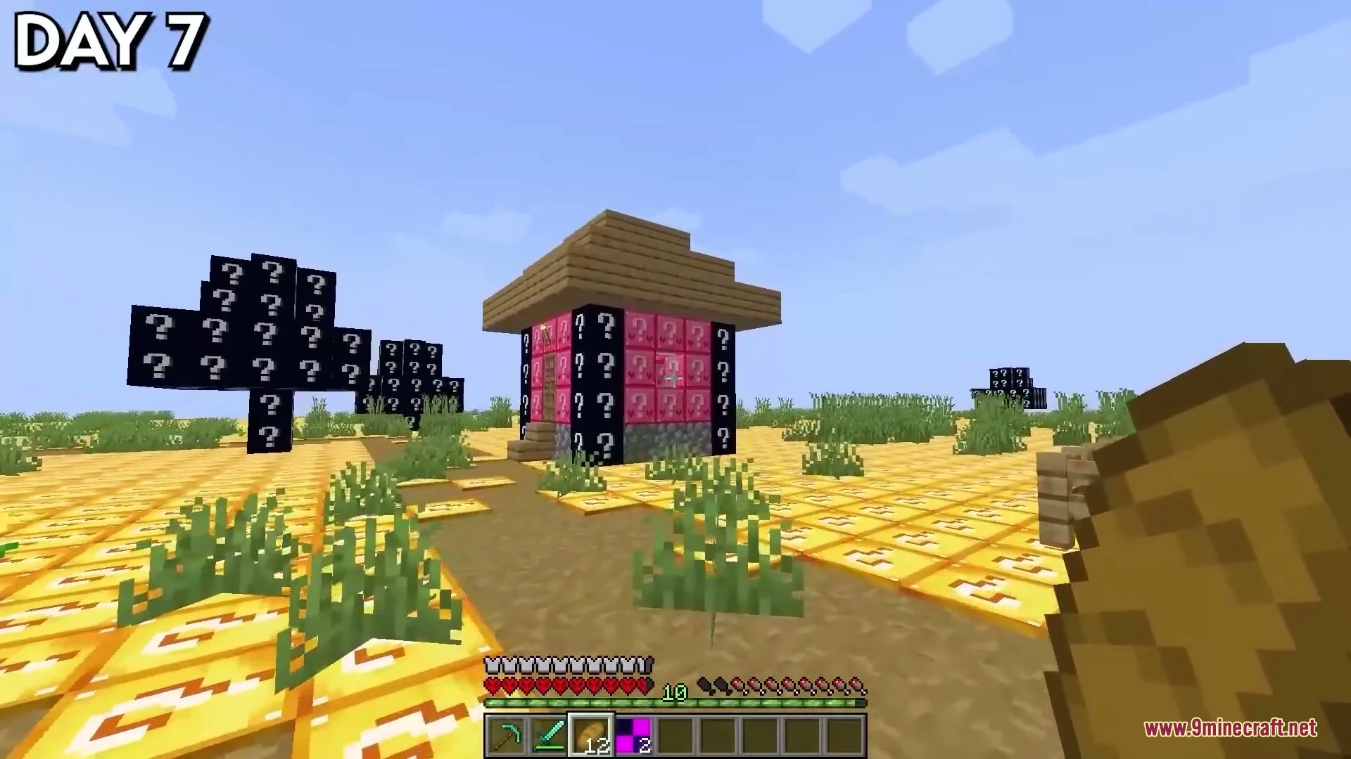 SUPER FLAT LUCKY CHUNK WORLD Map (26.x) – Gamble Your Life on Every Flat Chunk — screenshot 6