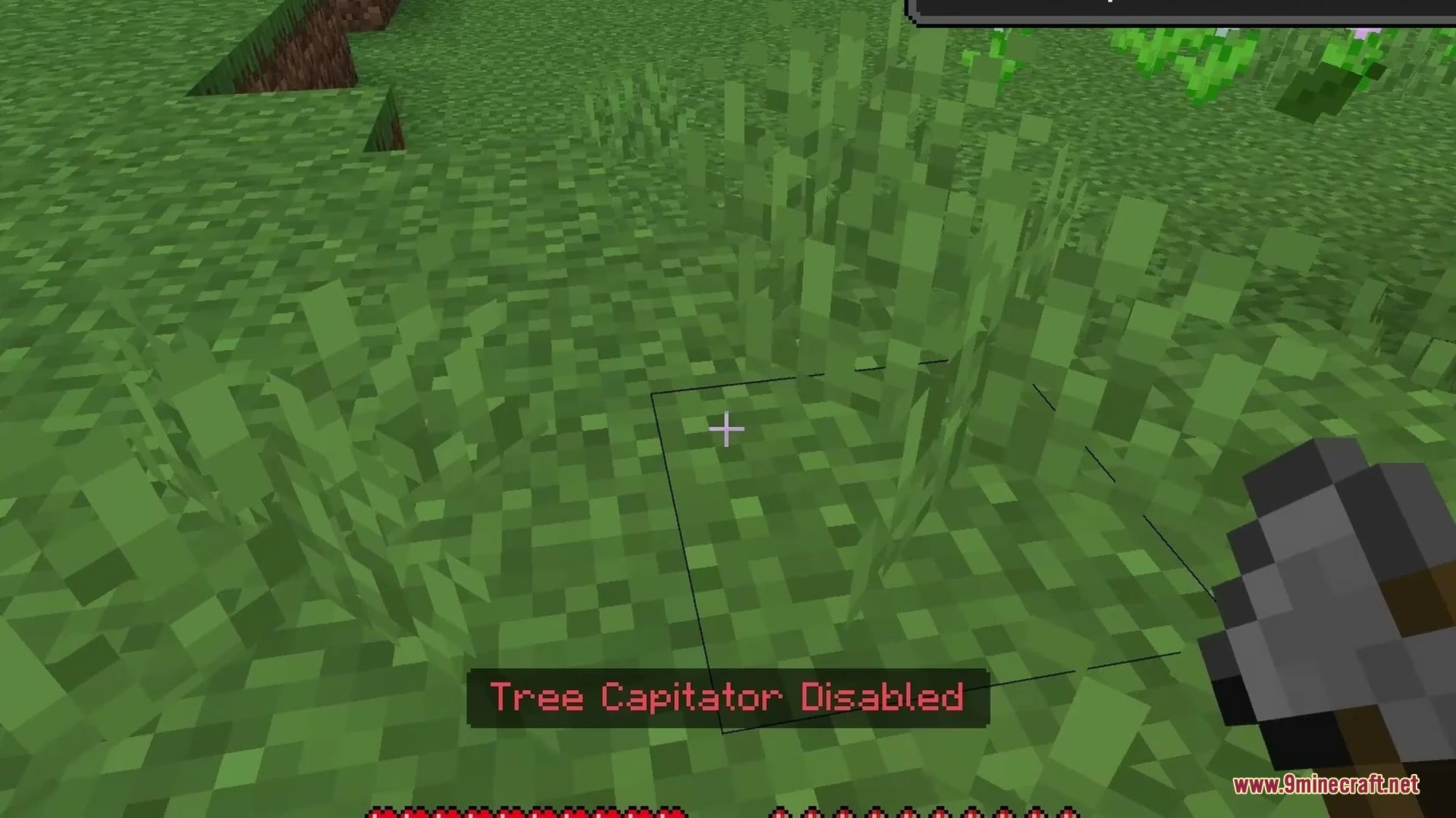 Vors Tree Capitator Addon (26.x, 1.21) – Fell Entire Trees and Harvest Crops — screenshot 3