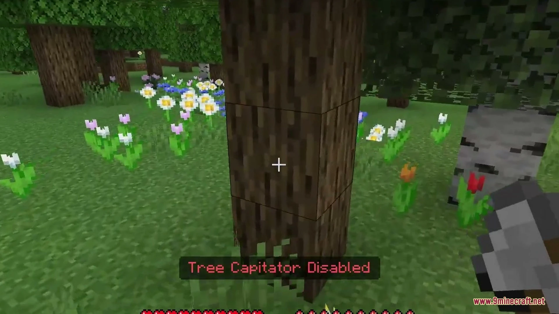 Vors Tree Capitator Addon (26.x, 1.21) – Fell Entire Trees and Harvest Crops — screenshot 4
