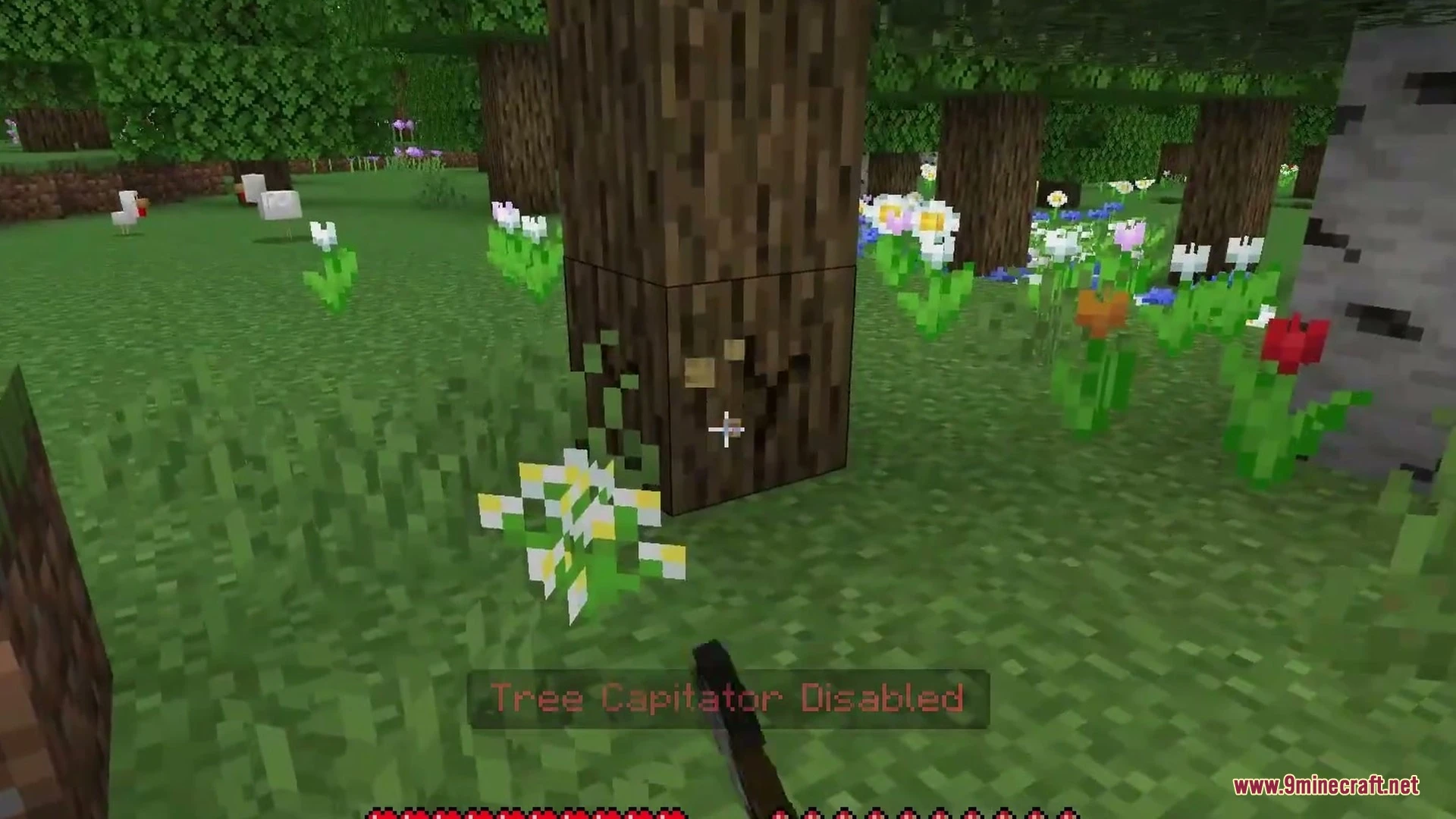 Vors Tree Capitator Addon (26.x, 1.21) – Fell Entire Trees and Harvest Crops — screenshot 5