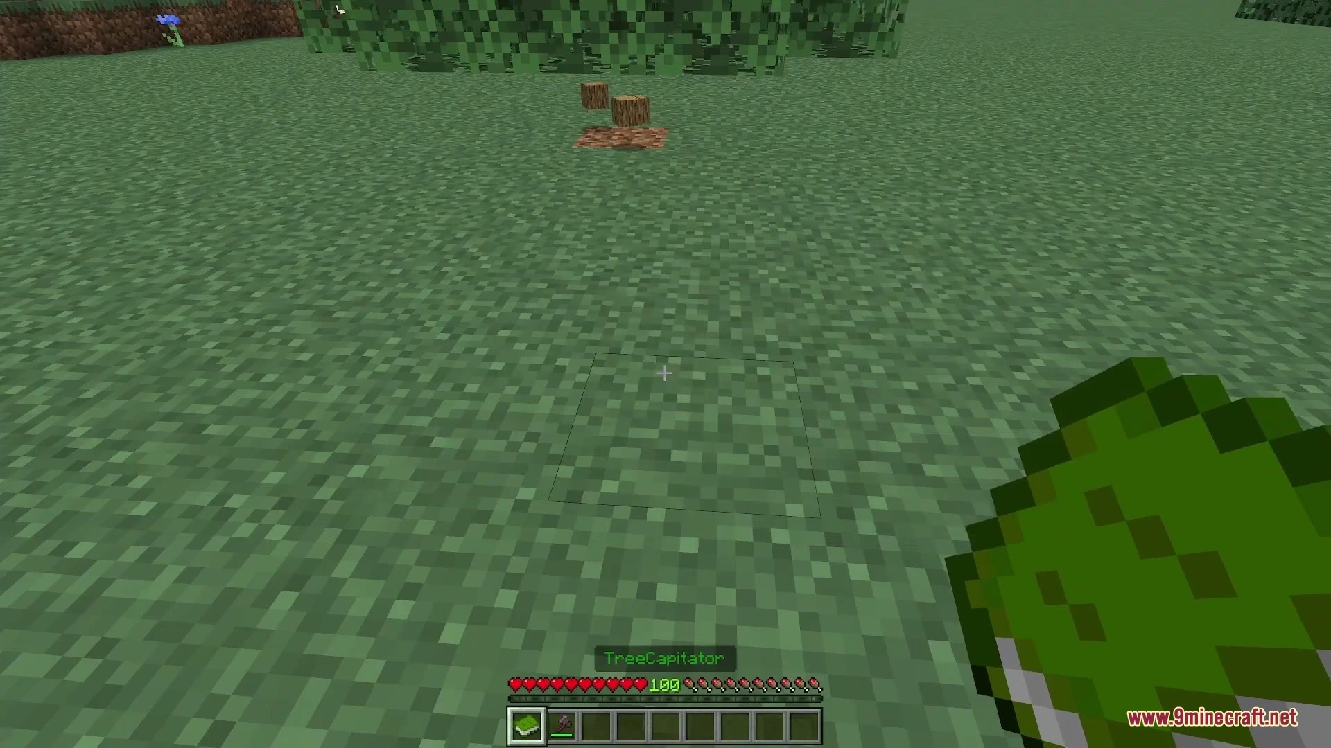 Vors Tree Capitator Addon (26.x, 1.21) – Fell Entire Trees and Harvest Crops — screenshot 6