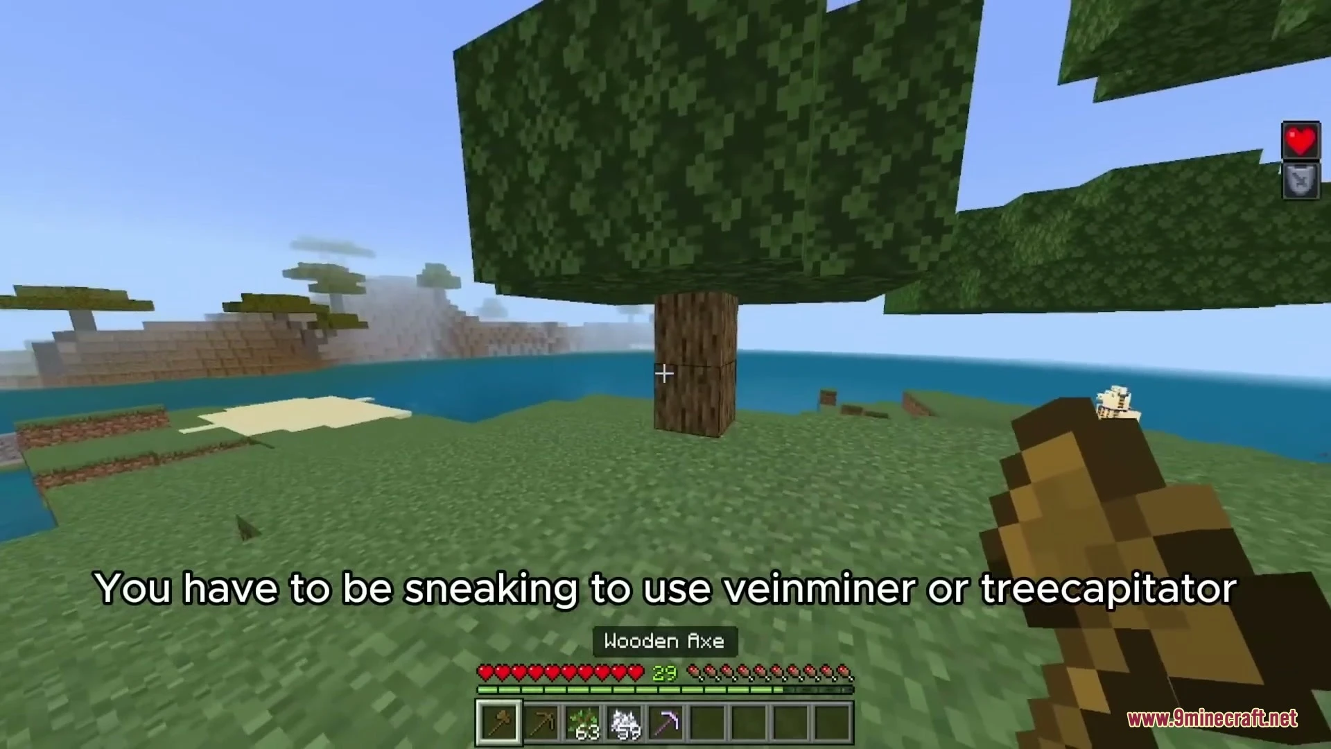 Dynamic Capitator Addon (26.x) – Fast Tree Felling and Vein Mining Tools — screenshot 8