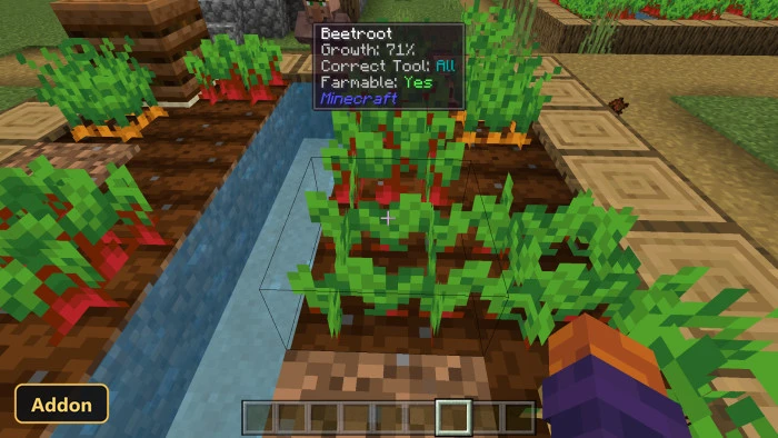 Poggys Whats That Tooltip Addon (26+, 1.20) – MCPE/Bedrock Addon — screenshot 1