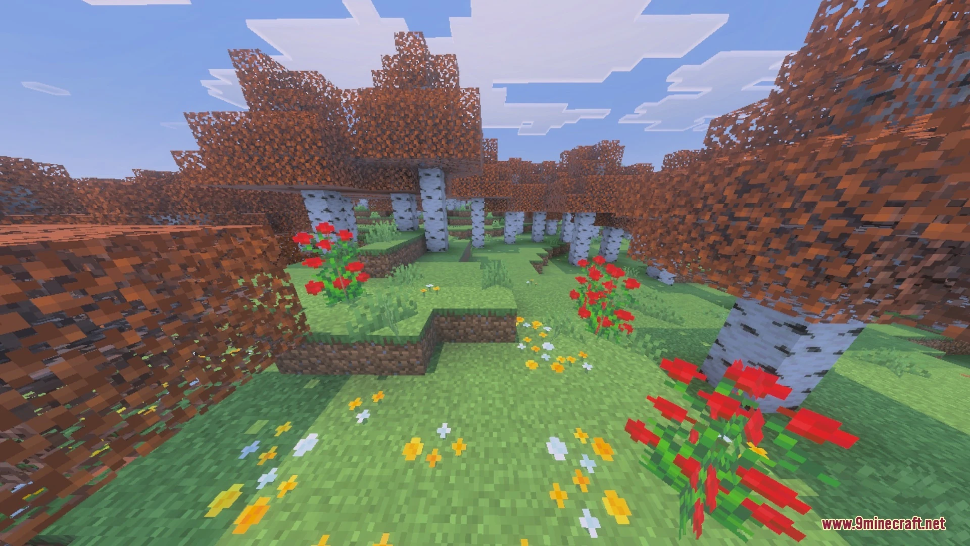 Orange Birch by Kazuma13 Shader (26.x) – Autumn Birch Leaves for Vibrant Visuals — screenshot 2